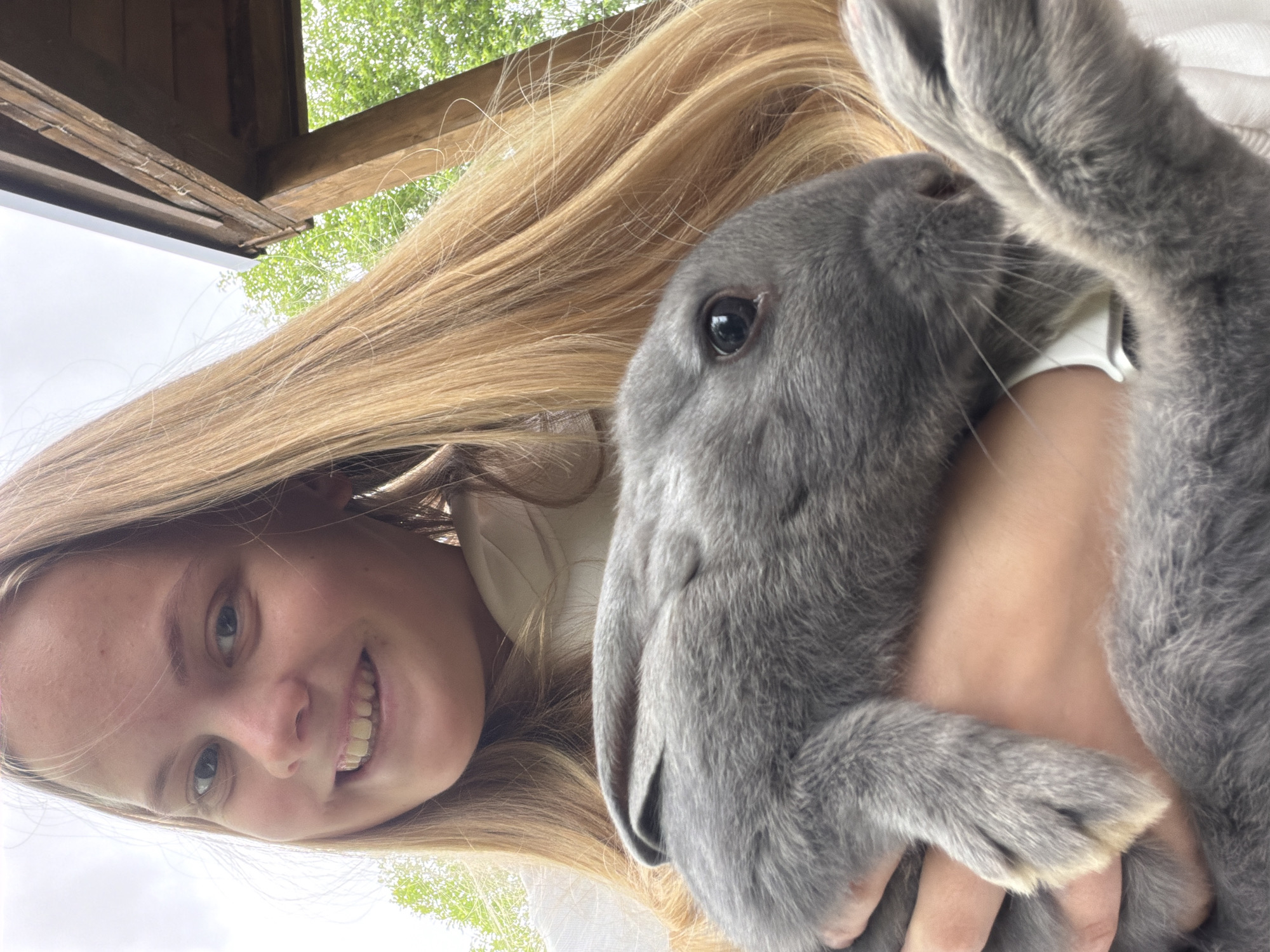 The image captures a heartwarming outdoor scene featuring a young woman and a grey rabbit. The woman, with long, straight blonde hair, is looking directly at the camera with a wide, joyful smile, revealing her teeth. She appears to be wearing a light-colored top.
She is holding the grey rabbit close to her body, possibly in her arms or against her chest. The rabbit has soft, dense grey fur, a dark eye, and long white whiskers. Its front paws, with lighter fur on the tips, are visible, indicating it is relaxed and comfortable in her embrace.
The setting appears to be outdoors, beneath a wooden structure, possibly a porch or gazebo, as evidenced by the visible wooden beams in the background. Beyond this structure, vibrant green foliage from trees can be seen against a bright, overcast sky. The lighting suggests it is daytime. The overall mood conveyed is one of affection and happiness. No text is visible in the image.