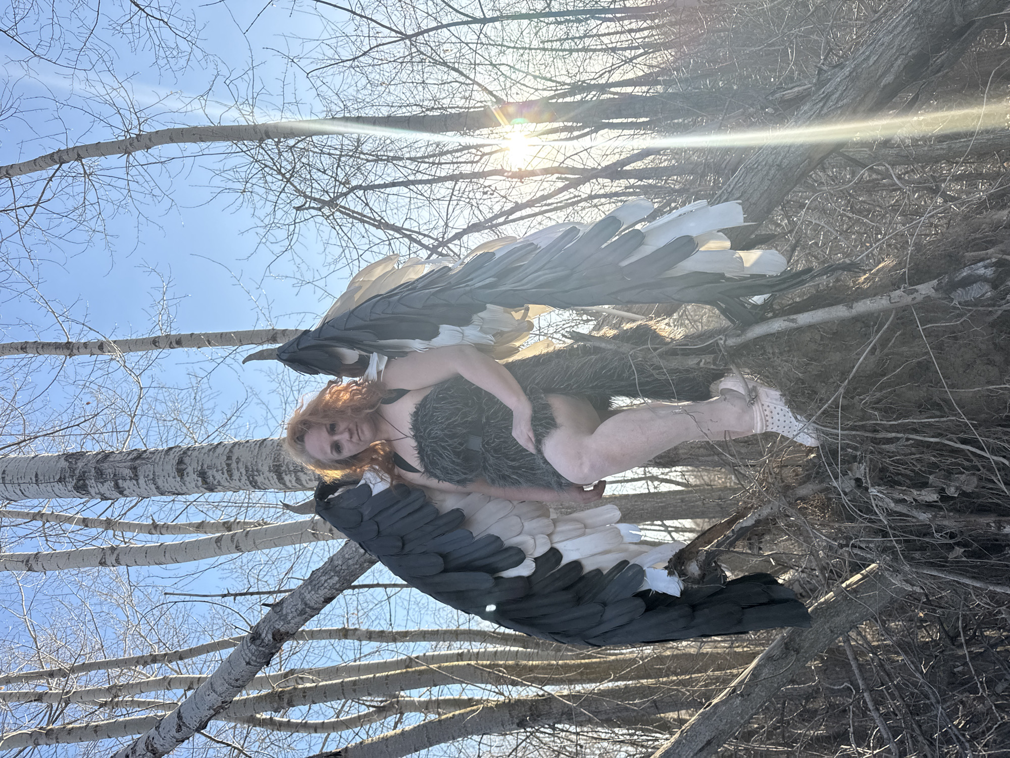 A photograph captures a woman in an elaborate costume amidst a winter forest setting. The image is presented sideways, rotated 90 degrees clockwise.
**Subjects:** The central subject is a woman with long, wavy red hair. She is wearing a dark, furry or feathered garment that covers her torso, and large, impressive wings, primarily dark gray/black with white feathers, are attached to her back. She also has light-colored footwear with a polka-dot pattern on her left foot. The background is dominated by numerous deciduous trees with bare, slender branches and light-colored trunks, characteristic of late autumn or winter.
**Scene and Setting:** The woman is positioned among a dense cluster of tangled, bare tree branches and woody debris, creating an effect that resembles a large nest or a natural entanglement. The sky overhead is clear and bright blue.
**Activity or Event:** The woman is posing for a photograph, looking directly at the camera with a calm and neutral expression. Her pose, attire, and the natural setting suggest a staged photoshoot, possibly themed around a mythological or fantastical creature.
**Notable Details:** The time of day is sunny daytime, with the sun shining brightly from above and behind the subject, causing significant lens flare in the upper right portion of the frame (when viewed correctly, this would be the top of the image). The weather appears clear and crisp, consistent with the bare trees. The absence of leaves reinforces the late autumn or winter season. No visible text is present in the image. The natural environment of bare trees and clear sky aligns with the provided location context of Chaikovsky, Russia.