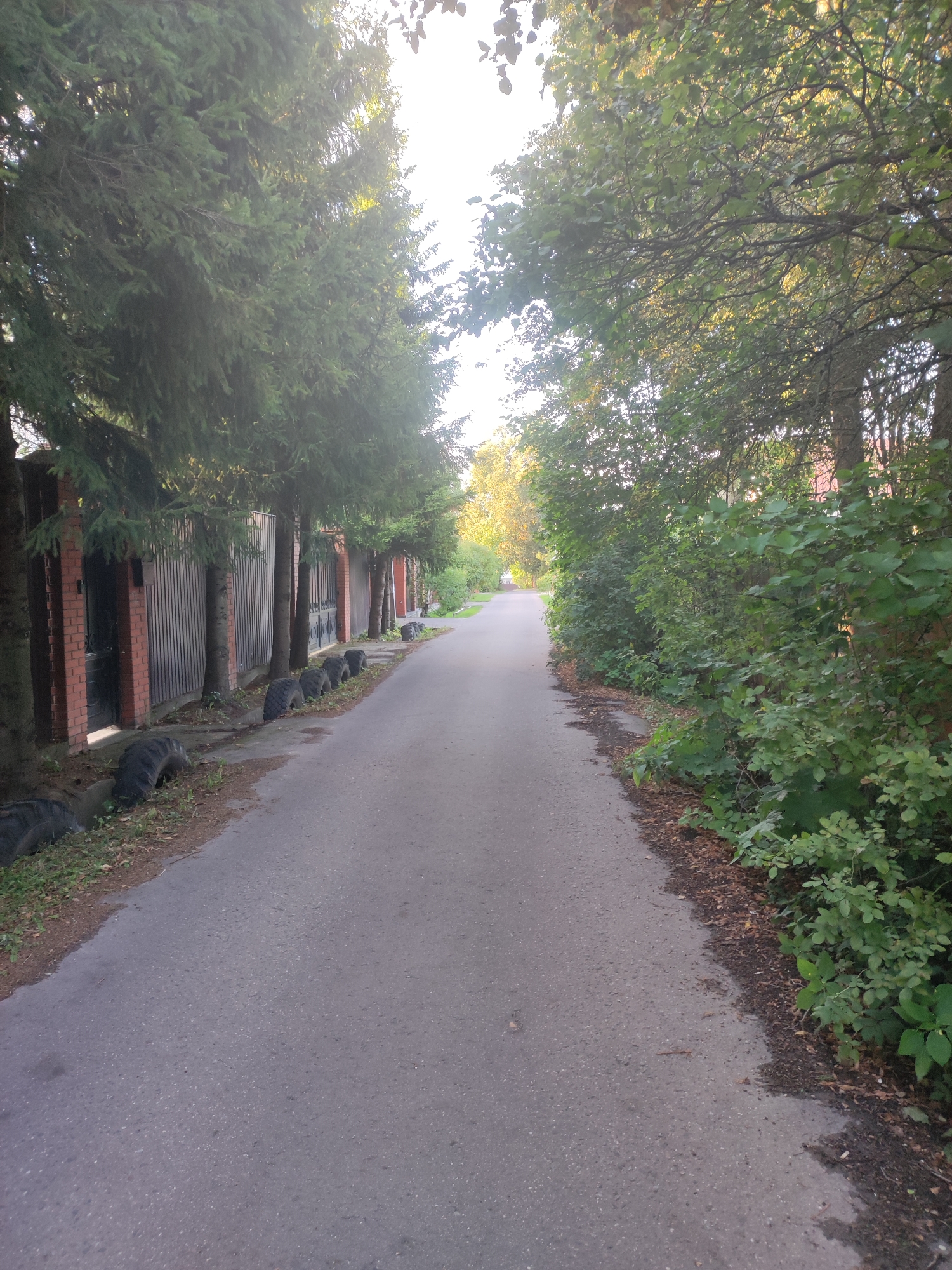 The image depicts an asphalt pathway in the city of Alabino, Russia. Tall evergreen trees line the left side of the path, behind which is a brick fence with vertical metal elements. Several old tires are placed along the edge of the path near the fence, appearing to serve as makeshift barriers. On the right side of the path, dense green foliage and trees form a natural border. The pathway recedes into the distance, where it appears to curve slightly and become narrower, with more trees and vegetation visible. The lighting suggests it is daytime, possibly late afternoon, with sunlight filtering through the leaves of the trees, creating dappled shadows on the path. No people or vehicles are present in the image.