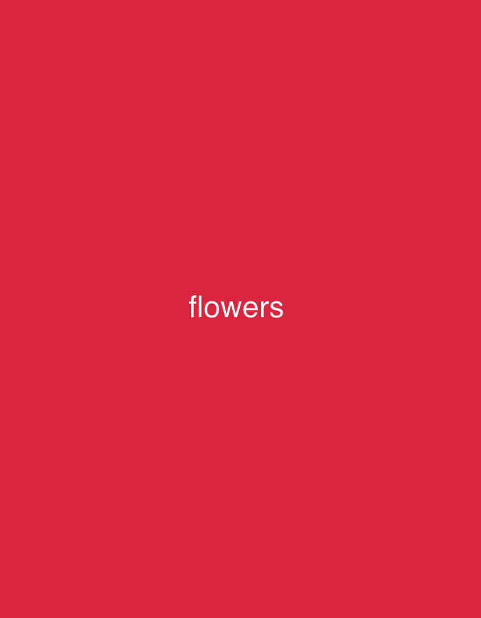 A red background features the white text "flowers" centered horizontally and positioned towards the bottom of the image. The text is sans-serif and appears to be a simple graphic design element. There is no discernible location in Rostov-on-Don, Russia, or any other geographical context present in the image. The image is a digital graphic with no photographic elements.