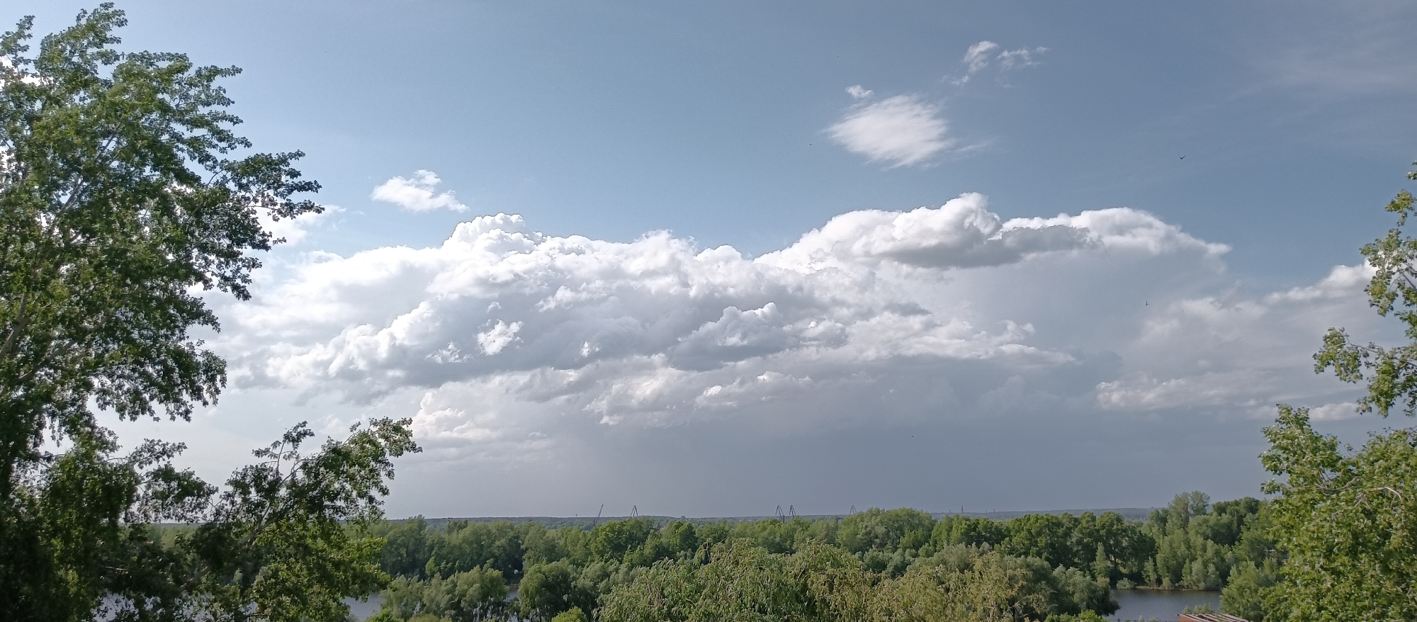 The image captures a landscape scene with a sky dominated by large, puffy white and gray clouds. Below the clouds, a dense expanse of green trees stretches across the horizon, suggesting a forest or wooded area. The image is framed by trees in the foreground, with foliage visible on both the left and right sides. The location is Unknown, Unknown. There is no evidence of people.
