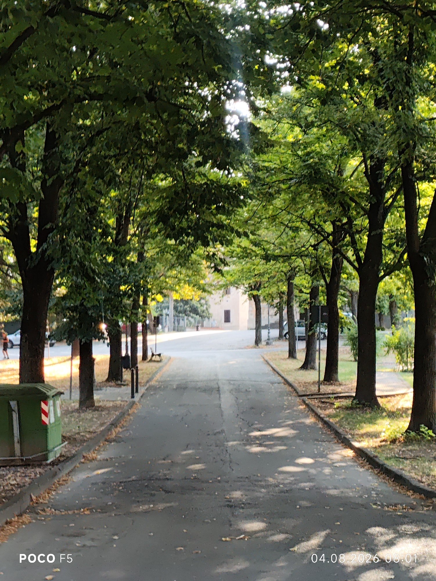 This image depicts a tree-lined avenue in the city of Collecchio, Italy, likely during the daytime given the sunlight filtering through the leaves. The avenue is paved and appears to be a public walkway or road, bordered by grass and more trees. On the left side of the image, a green waste bin with red and white markings is visible near the edge of the path. Further down the avenue, a person is seen walking on the left side. The trees lining the path create a canopy, casting dappled shadows on the ground. In the background, a building with beige walls and a dark roof is partially visible. The overall impression is a serene and well-maintained public space within the city. The timestamp in the bottom right corner indicates the image was taken on August 4, 2026, at 08:01. The text "POCO F5" in the bottom left corner suggests the image was captured with a Poco F5 smartphone.