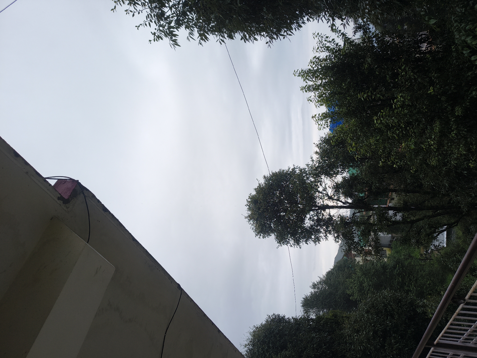 The image shows a view of a hillside covered in trees and buildings, likely in the city of Haini, India. The foreground features a concrete overhang from a building. A wire stretches across the sky in the middle ground. Below the overhang and the wire, a dense forest of green trees dominates the scene, with some buildings partially visible through the foliage. The sky is overcast and a pale gray. A metal railing can be seen in the bottom left corner, suggesting the vantage point is from a balcony or walkway.