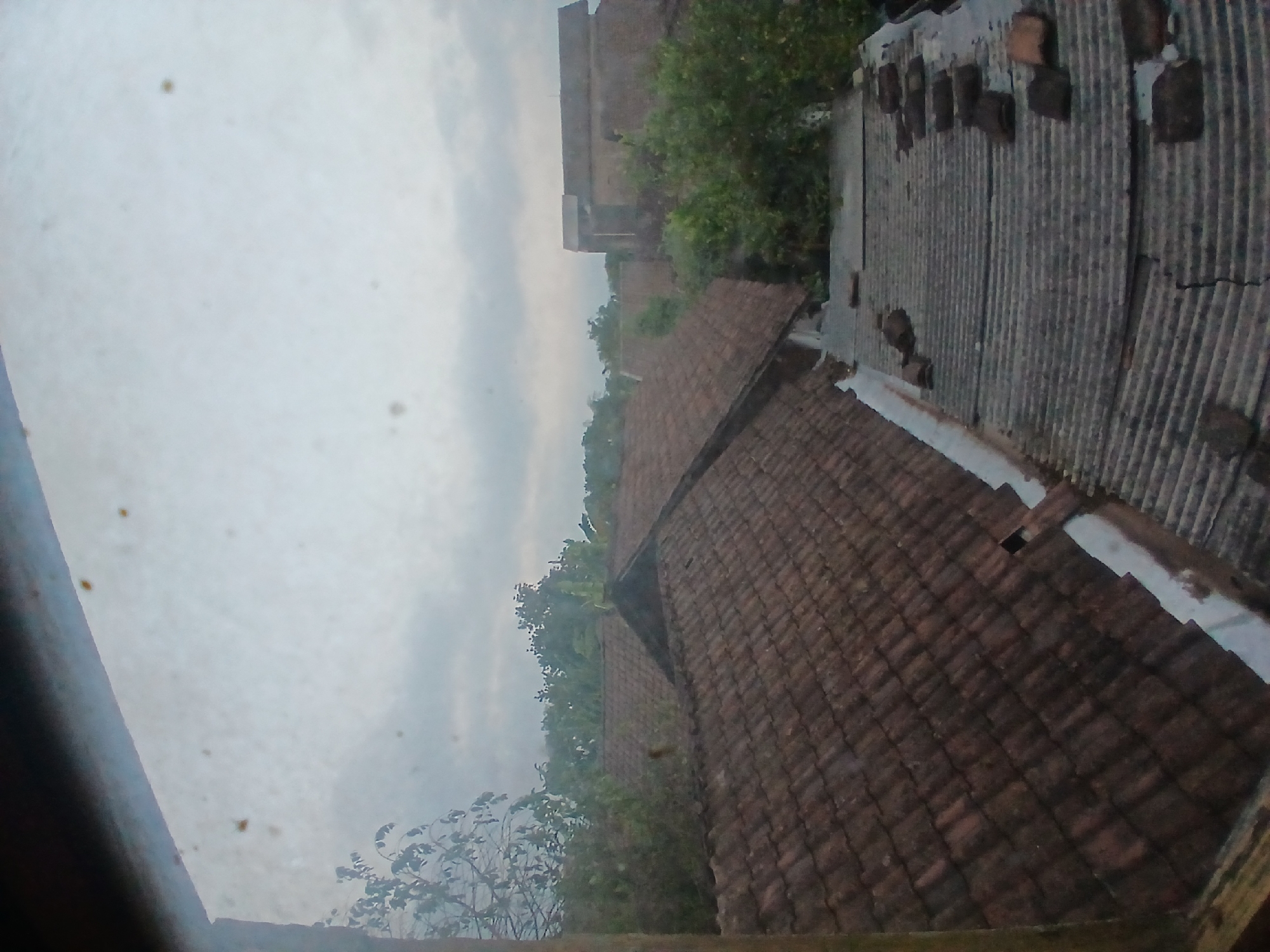 The image displays a view of rooftops in Tenggarang, Indonesia, under an overcast sky. The foreground shows a section of a corrugated metal roof with several damaged or loose pieces. Behind it, a larger tiled roof made of reddish-brown tiles stretches across the frame, appearing old and weathered. Vegetation, primarily trees and foliage, is visible between and behind the rooftops, suggesting a semi-rural or residential area. In the background, a partially obscured building with a similar tiled roof can be seen. The overall impression is of a scene in a town or village, likely during the daytime given the ambient light, though the cloudy conditions create a muted atmosphere. There are no people or animals present in the image.