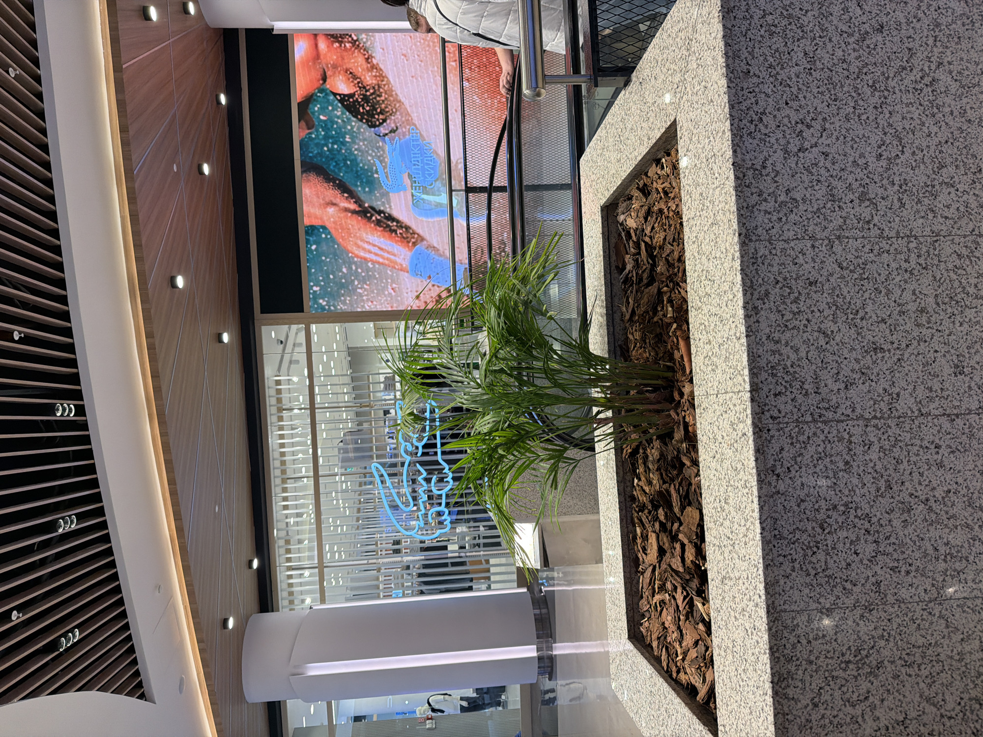 The image shows an indoor scene in a modern shopping mall, likely located in Astana, Kazakhstan. In the foreground, a granite planter box contains a small palm plant mulched with bark chips. Behind the planter, a large digital screen displays an advertisement featuring close-ups of muscular legs and a blue Lacoste logo. The screen also shows text in Russian, which appears to be promotional.
To the left of the screen, the facade of a Lacoste store is visible, characterized by vertical white pillars and a glass storefront with a blue neon sign of the brand's crocodile logo. Inside the store, mannequins dressed in clothing can be seen. Further to the left, a white cylindrical pillar with integrated lighting stands.
The environment suggests a well-lit, contemporary retail space, with a suspended ceiling featuring wooden slats and recessed lighting. A portion of an escalator's railing and a person on it are visible on the right side of the image. The floor is reflective, indicating a polished surface. The overall impression is one of a clean, upscale commercial interior.