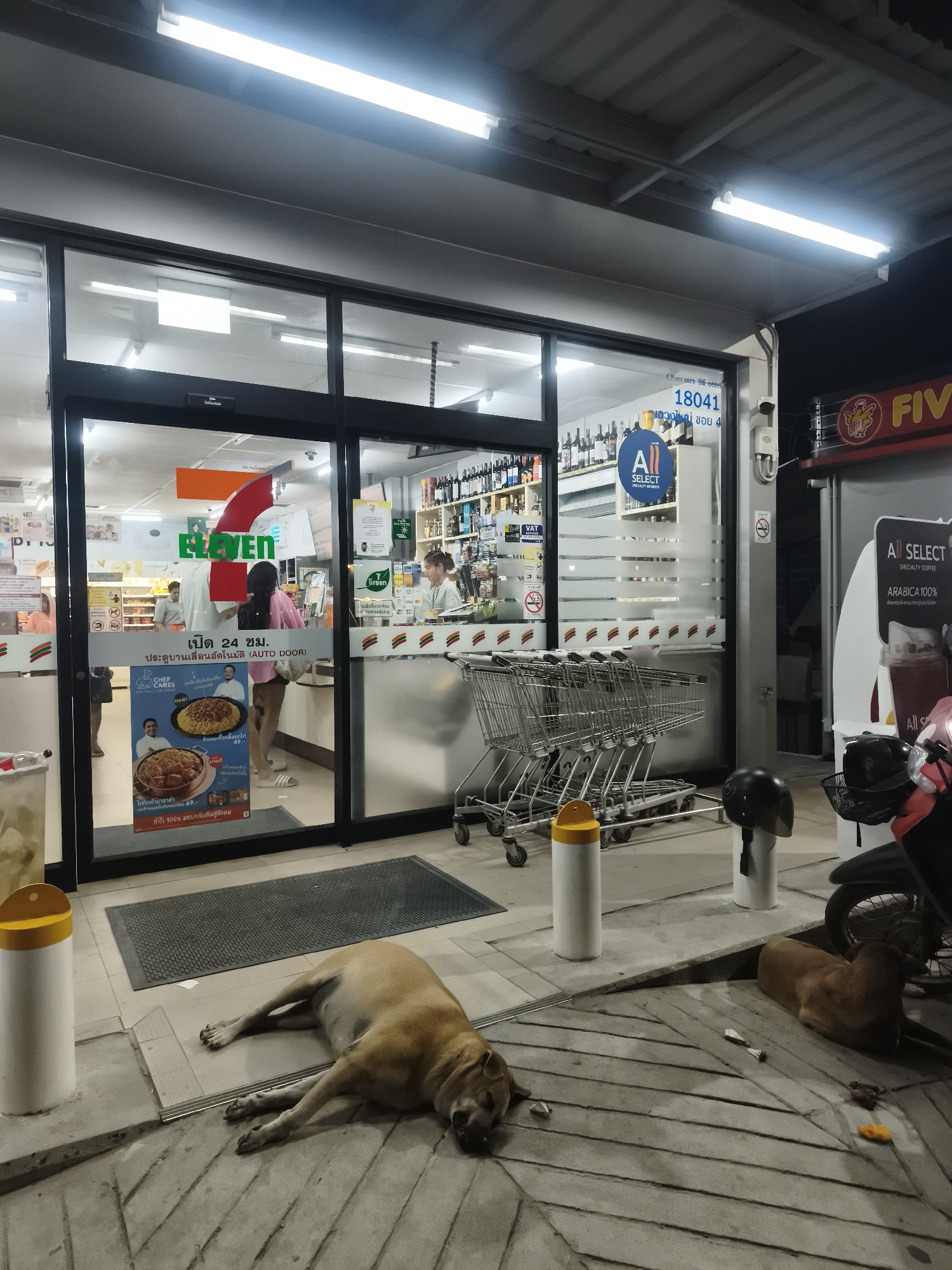 The image shows the exterior of a 7-Eleven convenience store in บ้านบางรักษ์, Thailand, at night. Two brown dogs are lying on the sidewalk in front of the store. One dog is stretched out near a bollard, and the other is near a parked motorbike. The store's sliding glass doors are open, revealing customers and a cashier inside. Shopping carts are lined up outside the store. A sign for "All Select Specialty Coffee" is visible on the right side of the image. The store is well-lit by fluorescent lights. Signage on the store's windows includes the 7-Eleven logo, a promotional poster, and information on store hours and services.