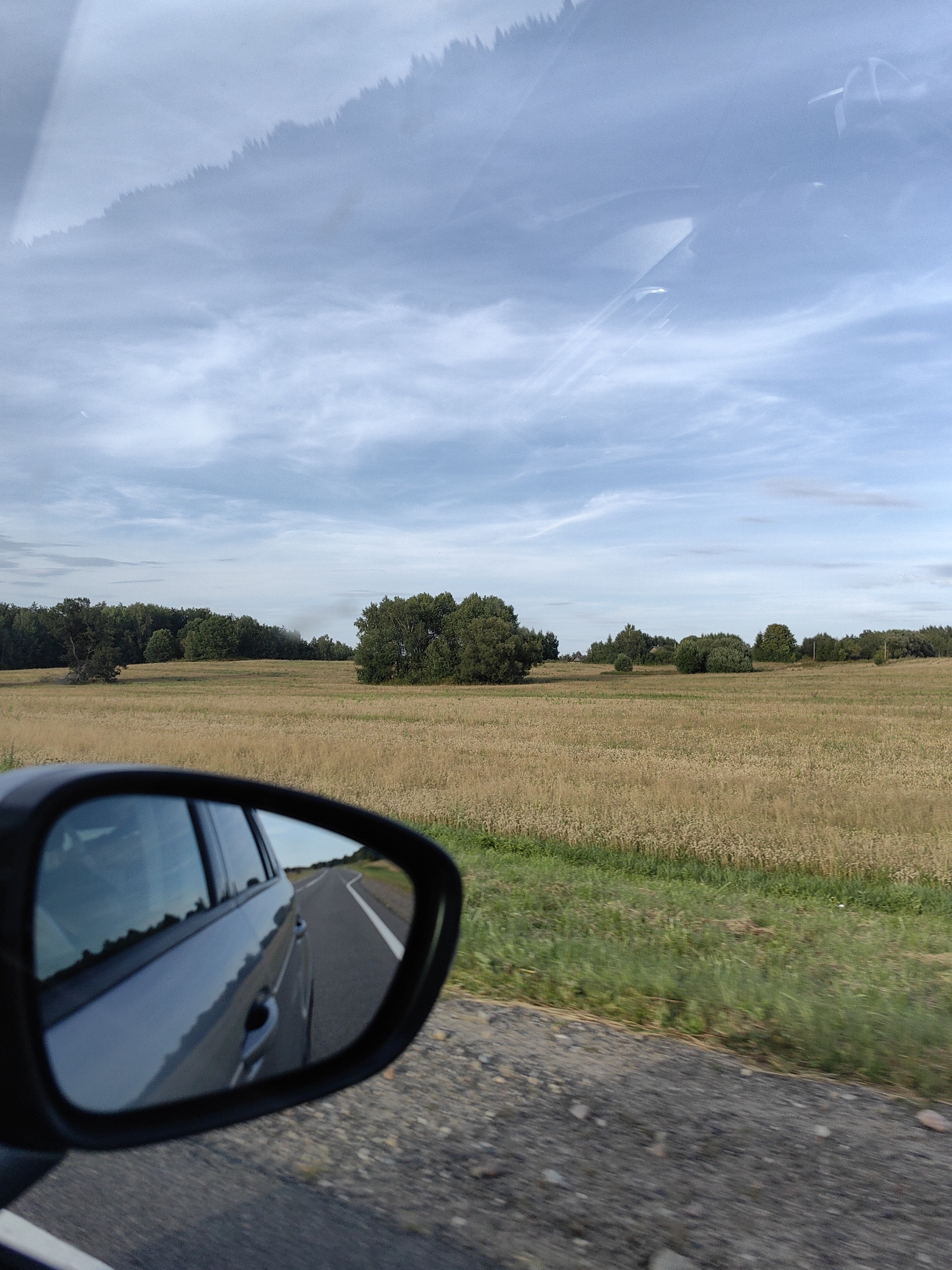 This is a photograph taken from inside a vehicle, looking out at a rural landscape and its reflection in the side-view mirror. The scene is set in Янушкавіцкі сельскі Савет, Belarus. The sky is a pale blue with wispy white clouds, and a faint reflection of a treeline is visible across the top of the image, likely distorted by the car's windshield.
In the foreground, the black frame of the side-view mirror encloses a reflection of the car's passenger side and the road behind. The road is asphalt with a white line marking its edge. The reflection shows the side of a grey car and what appears to be a grassy embankment beside the road.
Beyond the mirror, the main view is of a wide, open field filled with tall, dry, golden-brown grass or grain. A dark green treeline stretches across the horizon, forming a dense forest in the distance. Several clusters of trees, some appearing more rounded and bushy, are interspersed within the field and along the edge of the forest. The overall impression is a quiet, rural setting on a partly cloudy day.