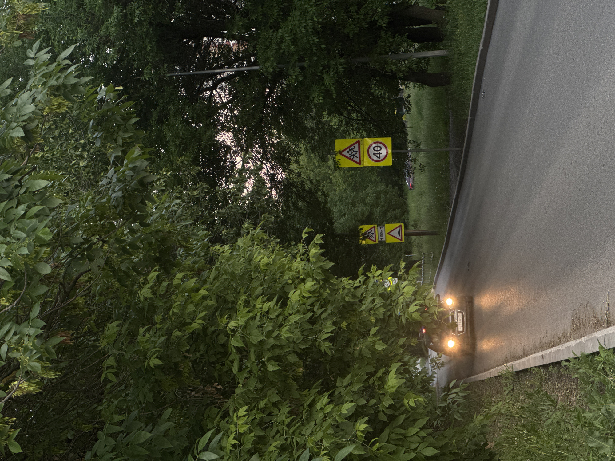 The image depicts a paved asphalt road at twilight or dawn in Izhevsk, Russia. A dark-colored Chevrolet car, bearing Russian license plate Y611BP 18 (confirming Udmurt Republic, Izhevsk), approaches from the background with its headlights illuminated, casting light on the road surface.
The road is flanked by dense, lush green deciduous trees and undergrowth on both sides, with the left side featuring a concrete curb bordering a strip of grass. The tree canopy is particularly thick on the left, partially obscuring the view beyond. The ambient light suggests low-light conditions, possibly dusk, with a faint pinkish-orange hue visible in the sky through the trees on the right.
On the right side of the road, two poles display multiple yellow traffic signs. From left to right:
* A yellow triangular sign indicating "150M" (150 meters) with an upward arrow, likely signifying a hazard ahead. Below it, another yellow triangular sign warns of an "artificial road irregularity" (speed bump).
* A yellow triangular sign depicting a "children crossing" or "school zone." Below this, a circular sign with a red border and the number "40" in black on a white background indicates a maximum speed limit of 40 km/h.
No individuals are visible in the frame. The scene portrays a quiet, tree-lined urban or suburban road within Izhevsk, characterized by traffic calming and safety measures.