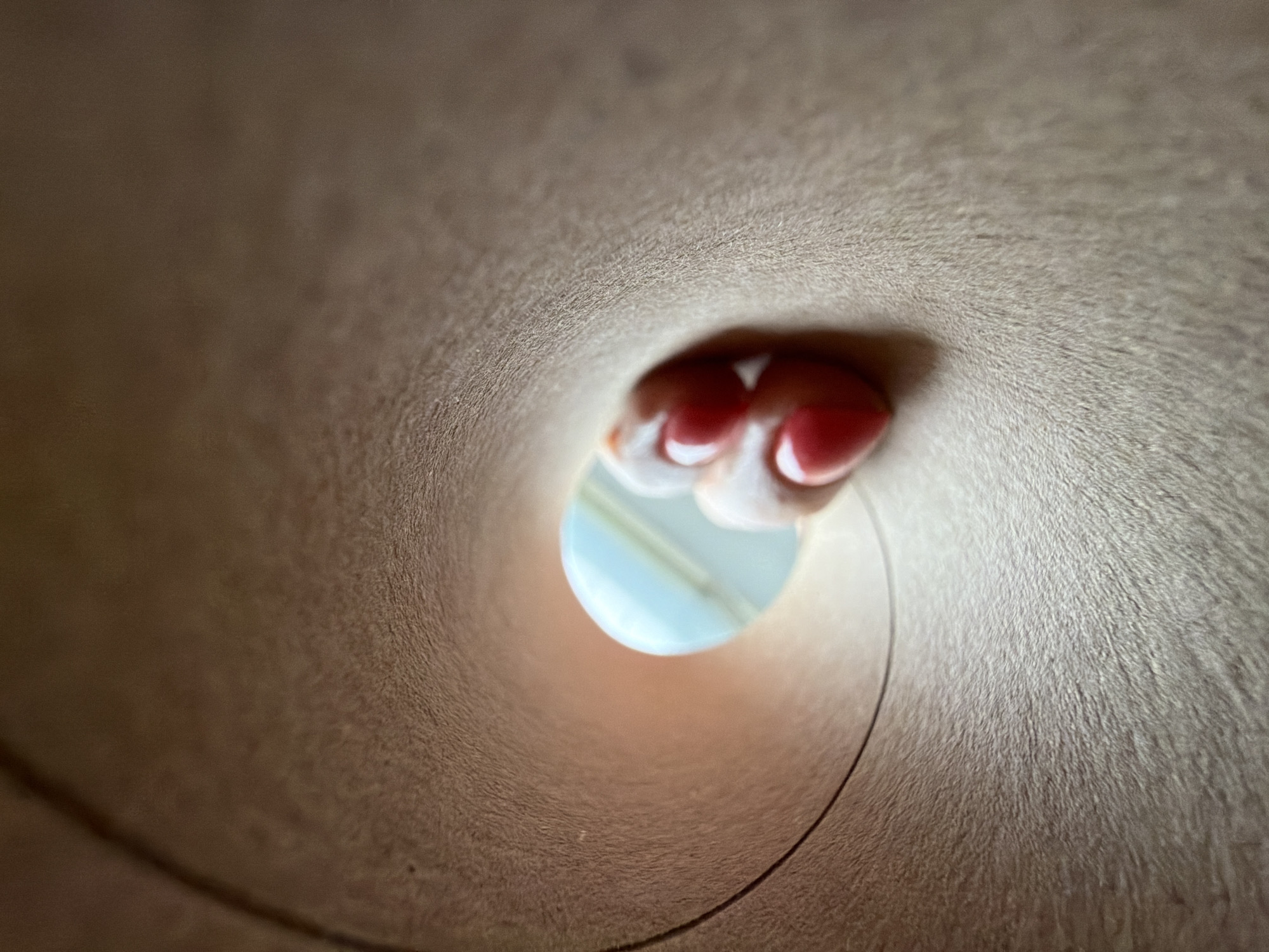 The image provides a close-up perspective from inside a narrow, tubular object, looking outwards. The dominant feature is the interior surface of this tube, which appears to be made of a soft, fibrous material, possibly felt or a similar texture, in a uniform warm brown or beige color.
At the far end of the tube, partially obstructing the circular opening, are several human fingers. These fingers are characterized by neatly manicured nails painted in a bright red or coral hue. They appear to be curled or pressed against the opening, suggesting an action of holding, blocking, or interacting with the tubular object.
Through the remaining gap in the opening, a bright, circular area of light blue and white is visible, indicative of an external light source or a reflection from a brightly lit environment. A faint, dark, curved line is also discernible within this luminous background.
The scene focuses on an intimate interaction with the object from a unique, enclosed perspective. There are no overt emotional cues, specific time of day, or weather conditions apparent. No visible text is present in the image. While the location context is Birobidzhan, Russia, no specific visual elements within the image directly relate to this geographical location.