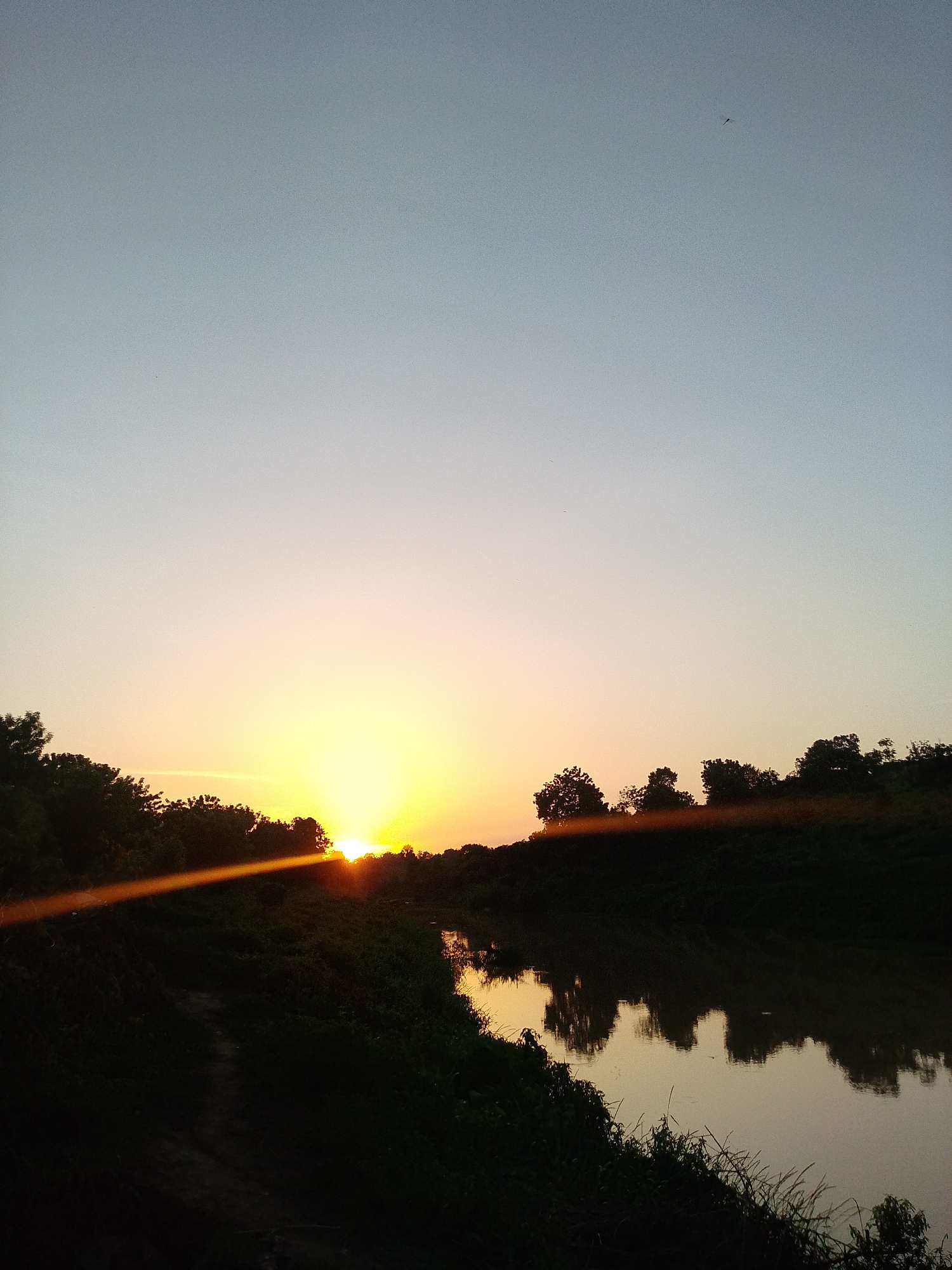 A photograph captures a serene sunset scene. The sun, a bright orange orb, is partially obscured by a treeline, casting a golden glow across the horizon. The light refracts, creating a prominent lens flare extending across the lower portion of the image. Below the horizon, a body of water reflects the warm light of the setting sun, mirroring the silhouettes of trees on the opposite bank. Dense vegetation lines both sides of the water, adding depth to the scene. The sky transitions from a pale blue at the top to a warmer orange closer to the horizon, indicating the late hour. A small, dark shape is visible in the sky above the trees, possibly a bird or insect. The location is unspecified.