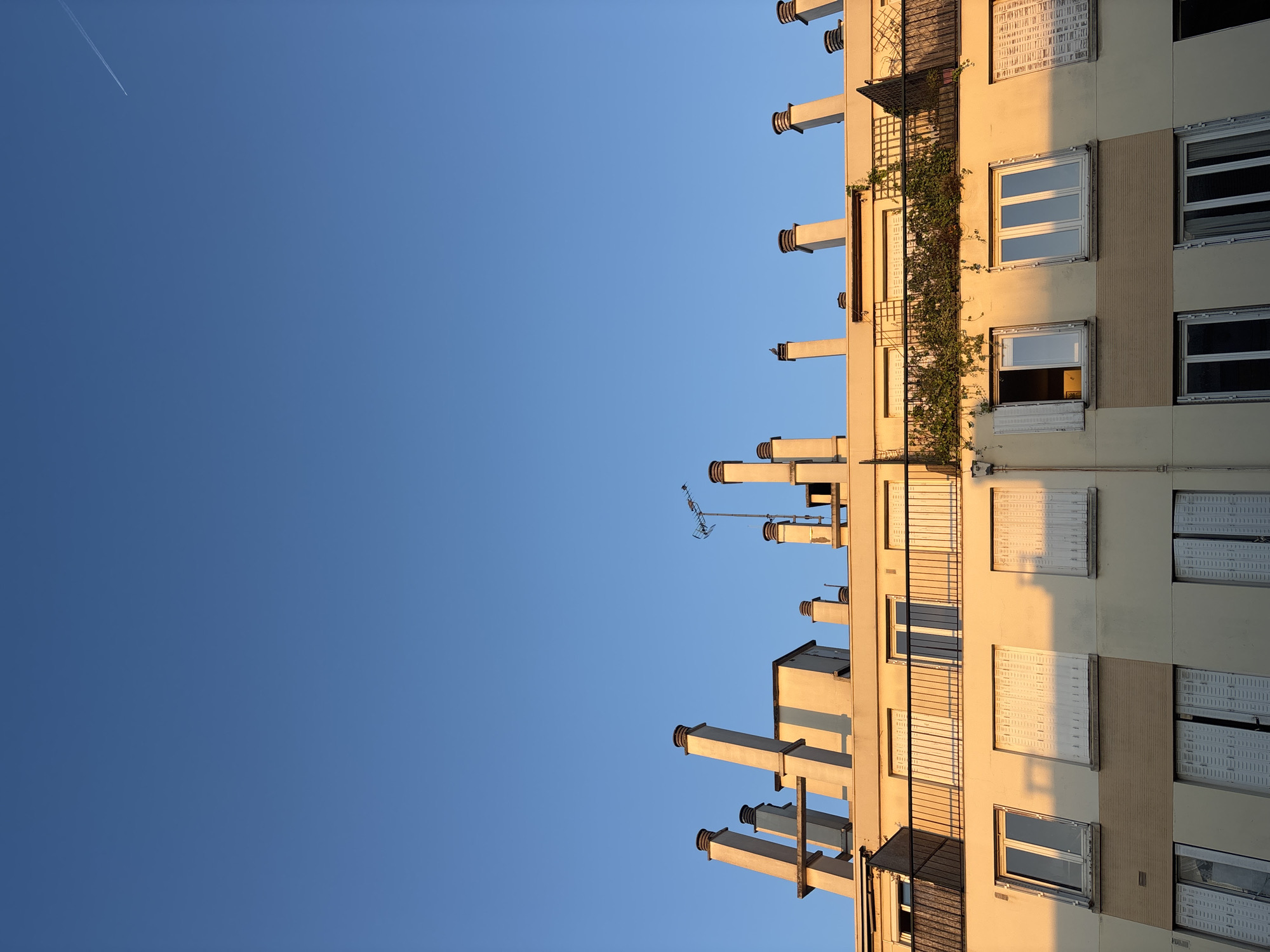 This is an upward-looking shot of a multi-story residential building set against a vast, clear blue sky, likely in Paris, France. The building occupies the right side of the frame, its light-colored facade (beige or off-white) bathed in the warm, directional light of either early morning or late afternoon (golden hour), which casts soft shadows and highlights its features.
The building displays numerous windows, some of which are open, revealing glimpses of interiors, while others are closed. Many windows are equipped with external rolling shutters or blinds, some fully drawn, some partially. Several balconies with dark metal railings punctuate the facade. Notably, green climbing vines cascade down a portion of the building's side, adding a touch of nature to the urban structure. A series of uniform, rectangular, chimney-like protrusions or decorative architectural elements extend horizontally from the building’s side, creating a distinctive pattern against the sky. Near the top of the building, a small metallic antenna or satellite dish is visible.
The left and central parts of the image are dominated by a uniform, deep blue sky, completely free of clouds. A thin, white contrail from an airplane cuts diagonally across the upper left corner of the sky. No people or legible text are visible in the image. The scene conveys a sense of peaceful urban architecture under a bright, tranquil sky.