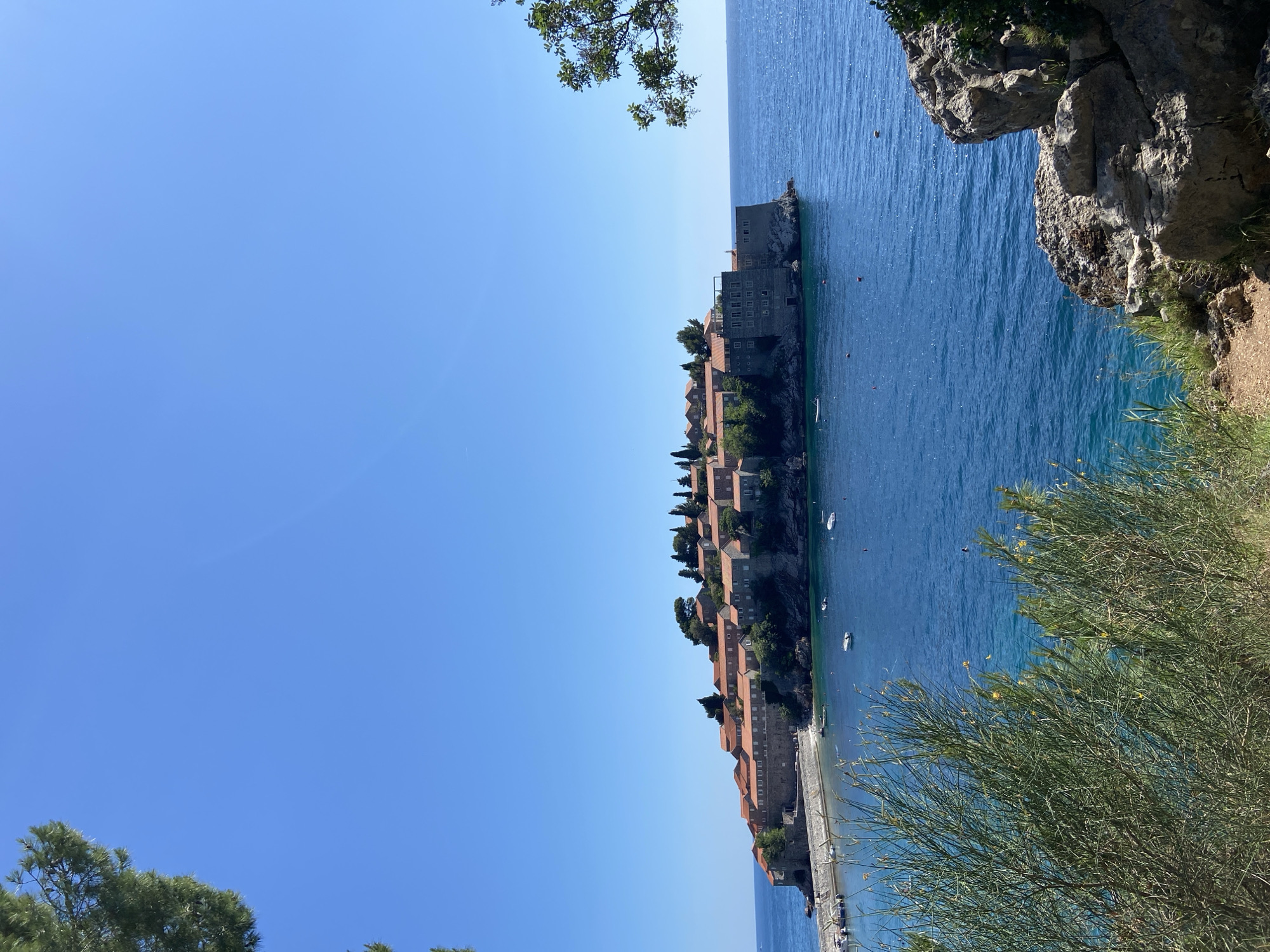 The image displays a coastal scene featuring the fortified island settlement of Sveti Stefan, Montenegro, under a clear, bright blue sky. The island, positioned centrally, is densely covered with stone buildings featuring reddish-orange tiled roofs, characteristic of Mediterranean architecture. Several trees, including cypress-like species, are visible atop the island among the buildings. On the left side of the island, a stone breakwater extends into the sea, enclosing a small harbor where several small white boats are moored. The surrounding sea is a deep cerulean blue, with lighter turquoise tones closer to the shore and near the island. The foreground includes lush green foliage, composed of various bushes and tall grasses, primarily on the left and bottom center. On the lower right, substantial grey rock formations are visible. A portion of a green-leafed tree branch frames the upper left corner, and another leafy branch appears on the right edge. The scene is illuminated by strong daylight, indicating sunny weather. No people are visible.