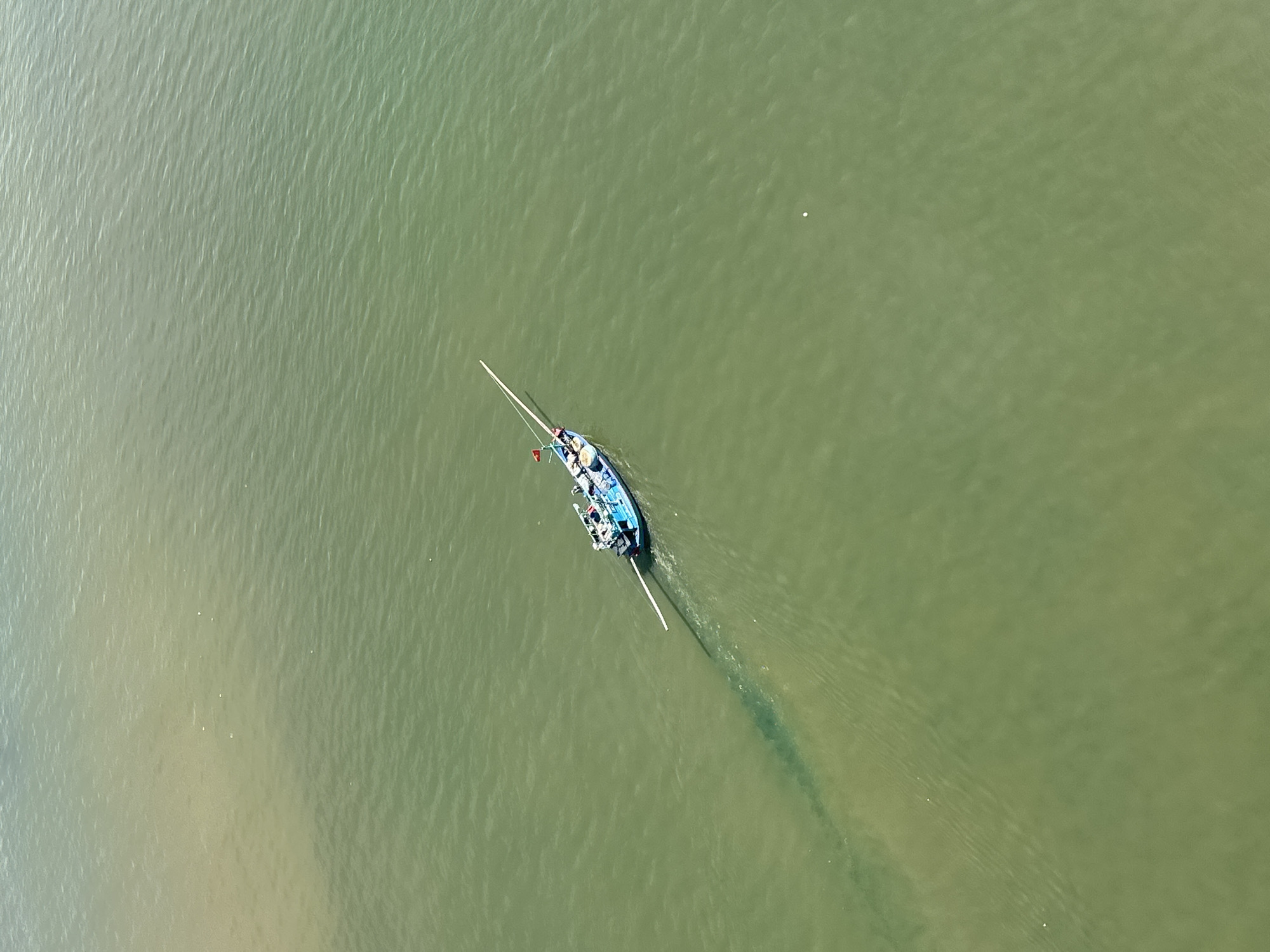 An aerial view captures a single, narrow, blue and white fishing boat with a long, white pole extending forward, moving through murky, green water. The boat appears to be leaving a dark trail in its wake. The water's surface is rippled, and a lighter-colored, possibly sediment-laden area, is visible to the left of the boat. A small red and yellow flag is planted on the boat's stern. The overall scene suggests a fishing operation in a coastal area or river. This image was taken from a high vantage point, possibly a drone or aircraft, overlooking the water.
