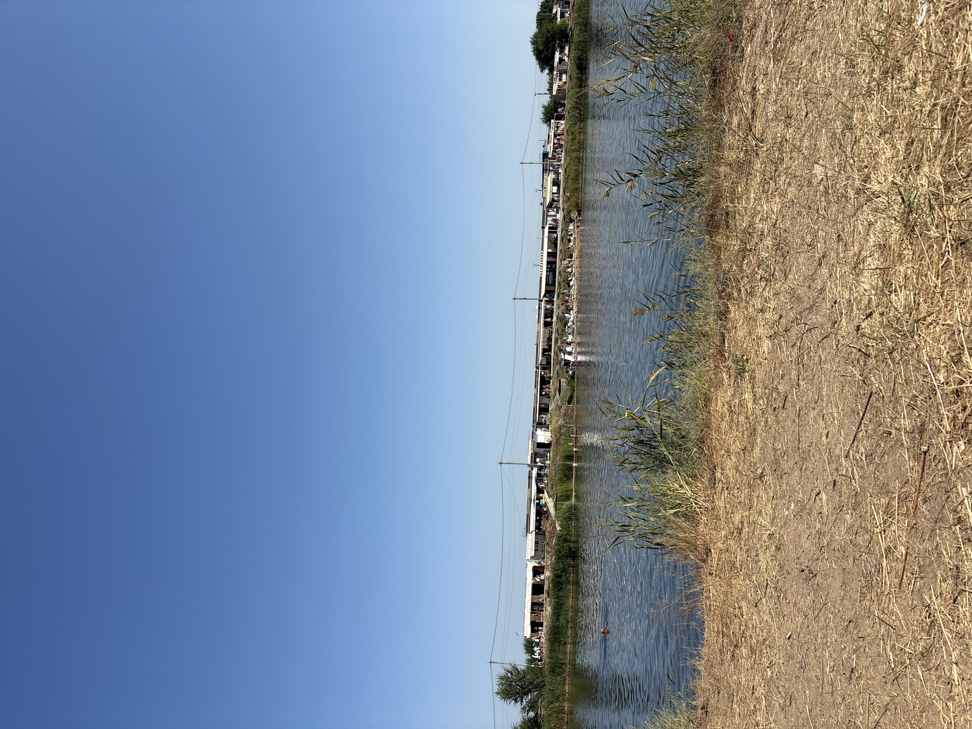 This image depicts a sunny day at a body of water, likely a lake or river, in the city of Sol-Iletsk, Russia. The foreground consists of dry, sandy ground covered with sparse, light brown vegetation. A calm body of water occupies the middle ground, reflecting the clear, bright blue sky. Reeds and tall grasses grow along the near bank of the water.
In the water, a lone individual is swimming. Further back, on the opposite bank, a strip of buildings with white facades and dark roofs stretches horizontally across the scene. These buildings appear to be commercial establishments, possibly shops or cafes, with some people visible in front of them and on a small beach area. A line of utility poles and wires runs above the buildings. Trees are scattered along the treeline behind the structures. The overall impression is a recreational area on a warm day.