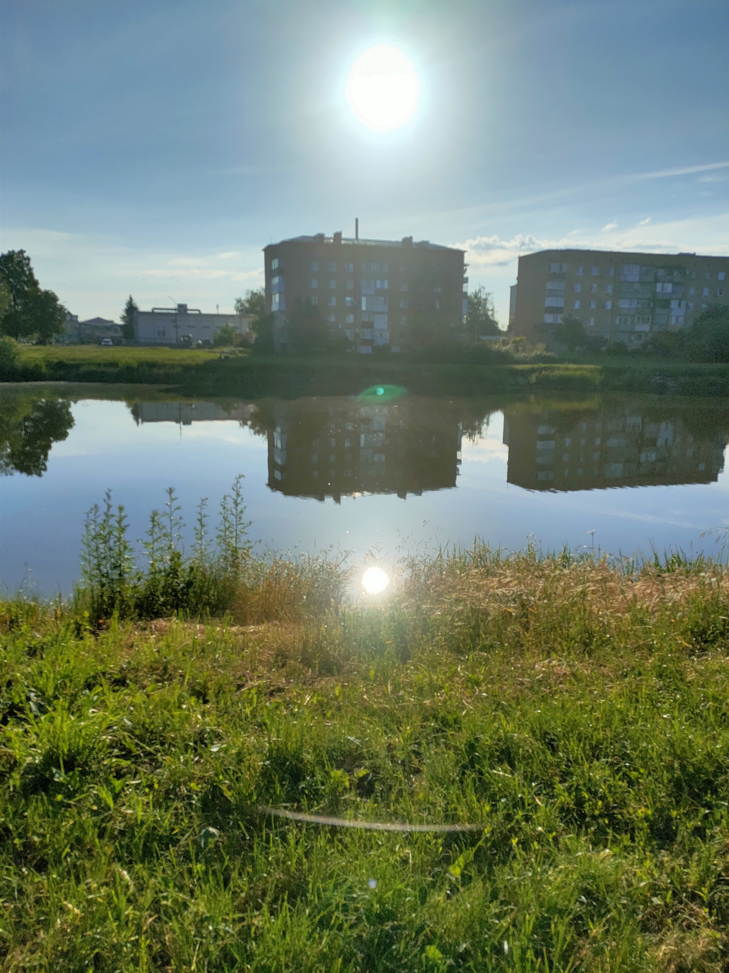 The image depicts a serene waterscape in the city of Nosivka, Ukraine. A calm body of water, likely a pond or small lake, dominates the foreground and midground, reflecting the clear blue sky and several residential buildings on its surface. The sun, positioned high in the sky and slightly off-center to the left, casts a bright glare, creating lens flare effects in the water and on the surrounding vegetation.
On the far side of the water, two brick apartment buildings stand as prominent structures. The building on the left is shorter and wider, while the one on the right is taller and narrower. Between and behind these buildings, other structures, possibly industrial or administrative, are visible along with trees and foliage. The area surrounding the water is covered in lush green grass and reeds, with some dry stalks intermingled, suggesting a natural or semi-natural setting within the urban environment. The overall impression is one of a peaceful, sunlit day in Nosivka.