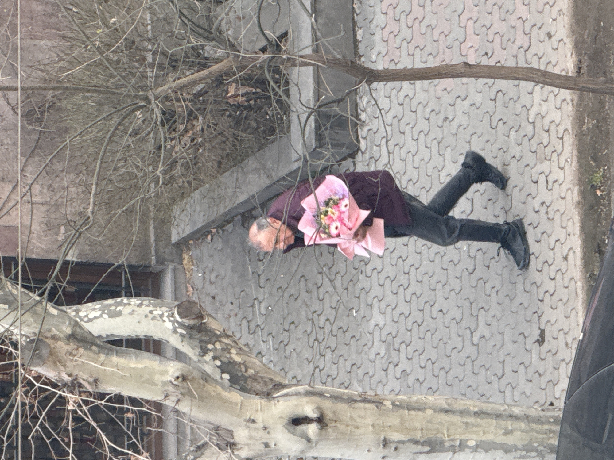 The image depicts an outdoor urban scene in Yerevan, Armenia, observed from an elevated perspective under overcast conditions. An elderly, balding man, with a slight smile, walks across a light grey paved sidewalk, moving from left to right in a three-quarter profile. He wears a dark maroon jacket, dark trousers, and dark athletic shoes. The man carries a bouquet of assorted flowers, including pinks and yellows, wrapped in light pink paper, held in his left arm. The sidewalk is composed of interlocking pavers arranged in a repeating S-curve pattern. A large, light-barked deciduous tree with bare branches dominates the left foreground, while a thinner, bare-branched sapling is on the right. In the background, behind a low concrete barrier, are bare bushes and the dark facade of a building with a visible dark doorway. The upper edge of a dark vehicle is partially visible at the bottom left.
