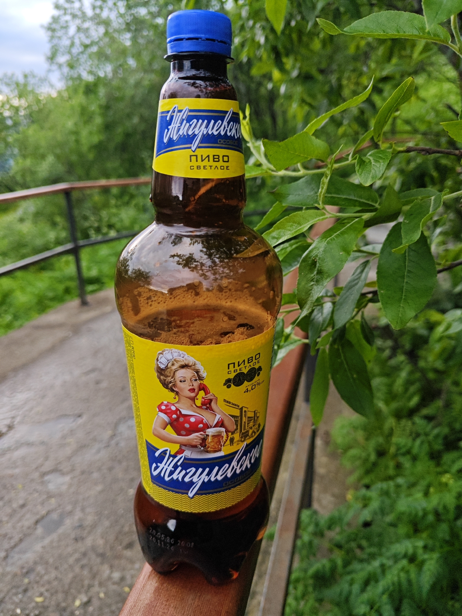 A close-up shot focuses on a brown plastic bottle of Zhigulevskoye beer, positioned on a wooden railing outdoors. The bottle has a blue plastic cap and a prominent yellow label featuring the brand's name in stylized blue script. The label also includes an illustration of a woman in a red polka-dot dress holding a telephone and a beer mug, and text indicating "PIVO SVETLOE" (light beer) and "4.0% alcohol". In the background, blurred green foliage from trees and shrubs is visible, with a hint of a concrete walkway and another railing. The lighting suggests it is daytime, possibly overcast. The image does not contain any identifiable landmarks or features that would suggest its specific location within Polyarny, Russia.