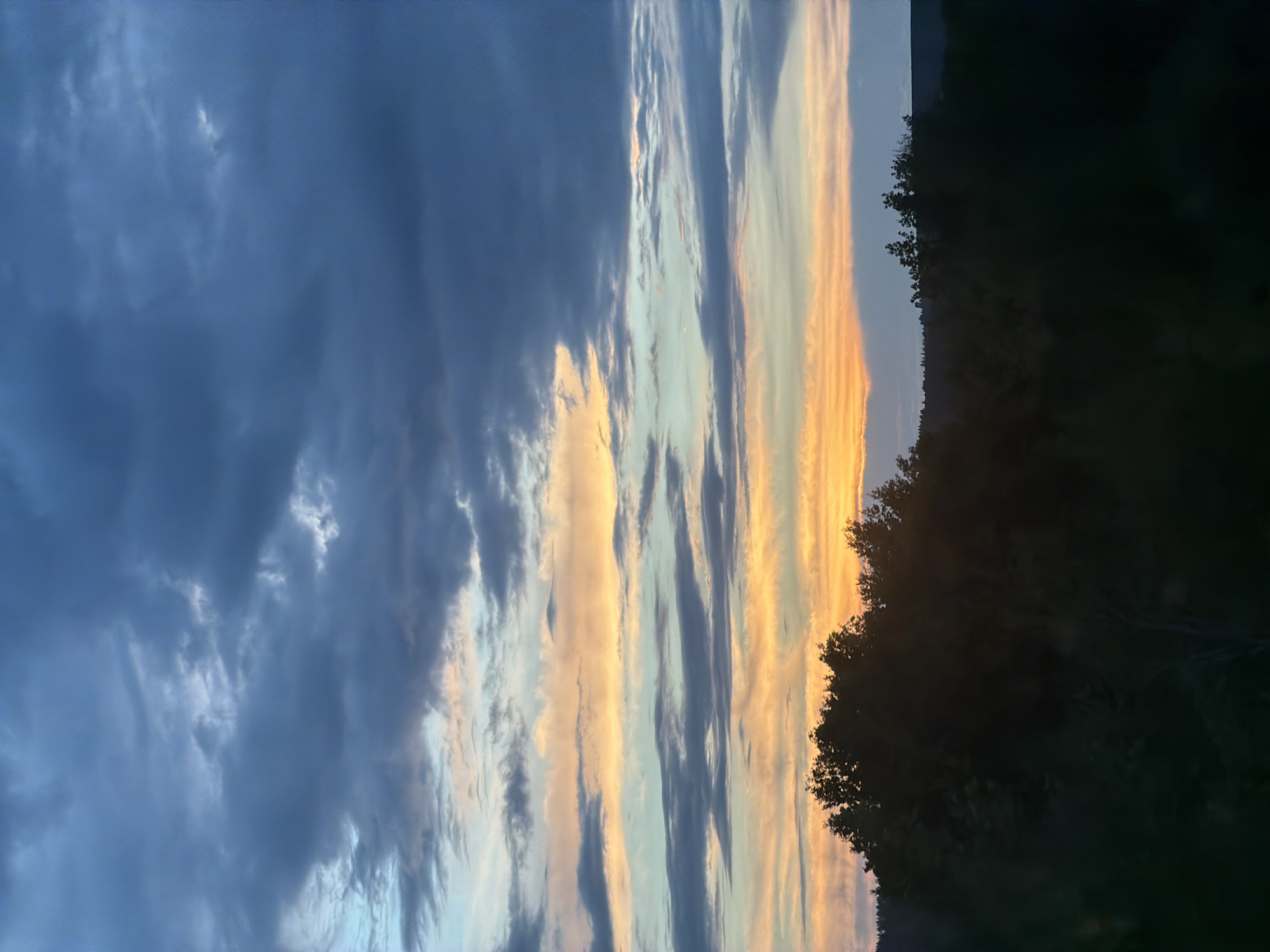 The image presents a view of the sky at dusk, with a portion of what seems like a wooded area visible on the right side. The sky transitions from dark blue clouds on the left to stripes of pale yellow and blue clouds towards the right, close to the silhouette of trees. The light is dimming, as evidenced by the dark silhouettes of trees and the fading colors in the sky. The image does not provide any information regarding the location in the city of Arsk, Russia.
