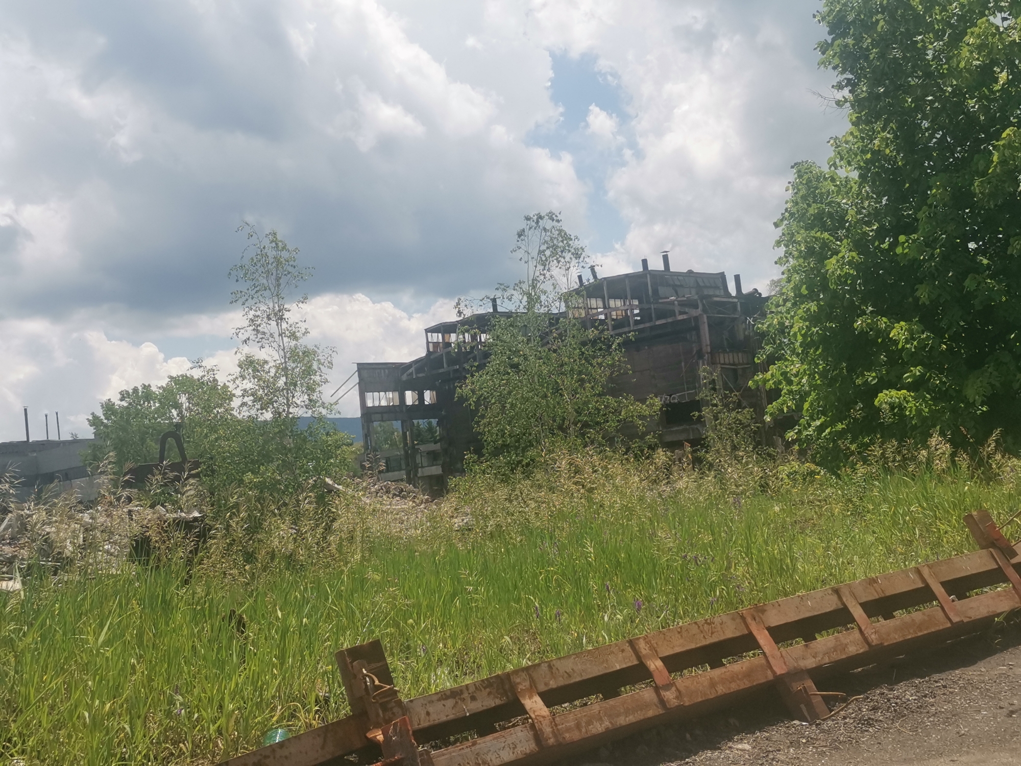 The image depicts an abandoned industrial site in Zhivkovo, Bulgaria, under a partially cloudy sky with visible patches of blue. The foreground is dominated by tall, vibrant green grass and weeds, growing wild. In the lower right, a rusty, brown metal structure, possibly a detached fence, barrier, or part of a vehicle bed, lies diagonally on a dirt or gravel surface.
In the midground, a large, dark, and derelict industrial building stands, appearing weathered and partially collapsed. Its skeletal framework and structural elements are visible through the dense overgrowth of trees and bushes that have started to reclaim the site. What appear to be chimneys or ventilation shafts are visible on the roofline of the main building. Another concrete or metallic structure is partially visible on the far left, also surrounded by greenery. Distant hills or mountains can be seen faintly in the background.
There are no people or specific activities taking place, and no visible text. The scene conveys a strong sense of abandonment and the resilience of nature. The time of day is daytime, with diffuse lighting indicating an overcast or partly sunny sky.