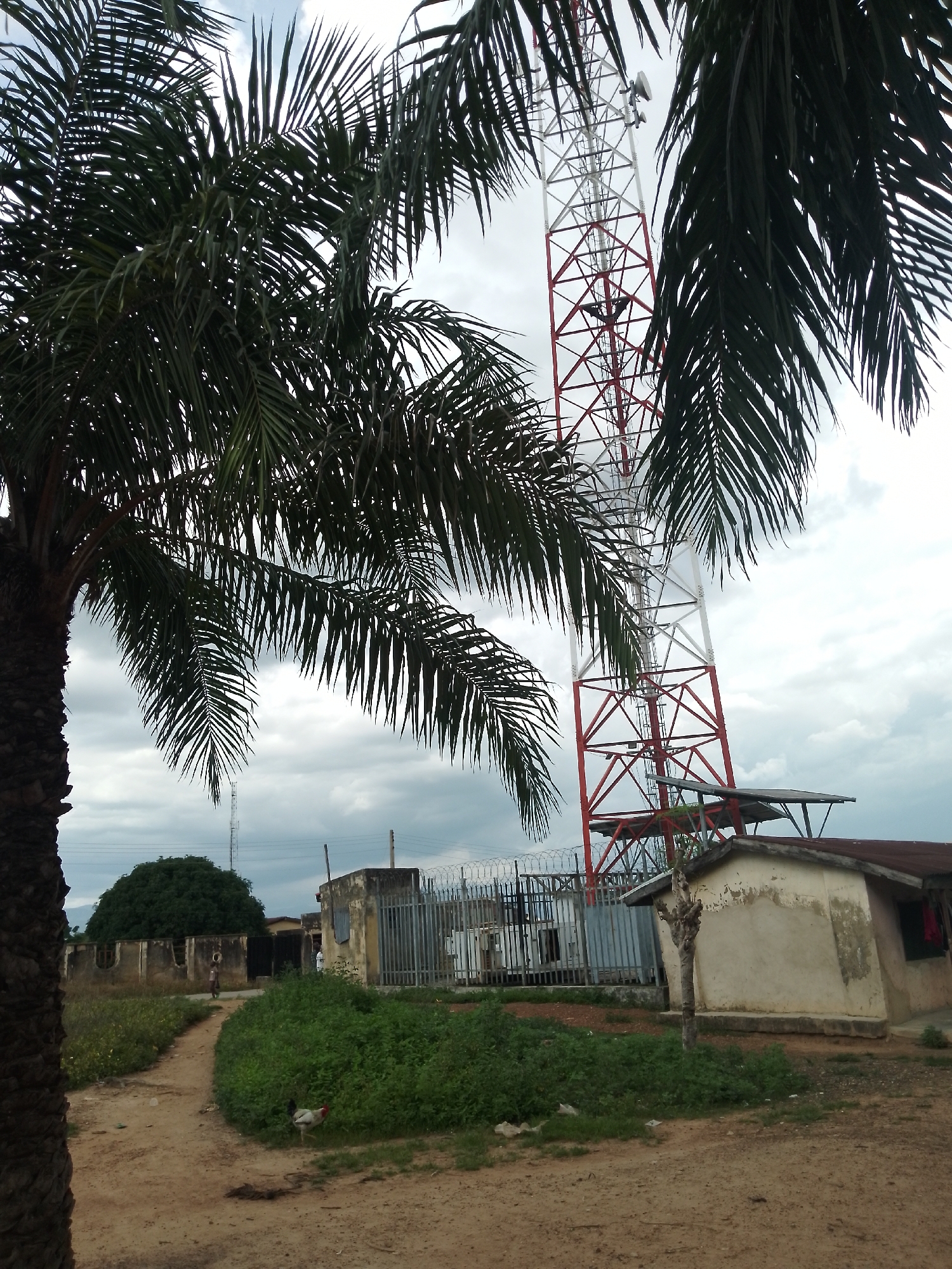 The image, taken in the city of Serti, Nigeria, depicts a telecommunications tower dominating the background, with its red and white lattice structure reaching towards a cloudy sky. Palm trees frame the scene, their fronds partially obscuring the view of the tower. In the middle ground, a small, weathered building with a dark roof sits near a metal fence enclosing some equipment. A dirt path leads from the foreground towards the fence and building. To the left of the path, a large, lush green tree stands out against the more muted tones of the surrounding landscape. A rooster is visible in the grassy area to the right of the path. The overall impression is one of a rural or semi-urban setting, possibly on the outskirts of Serti.