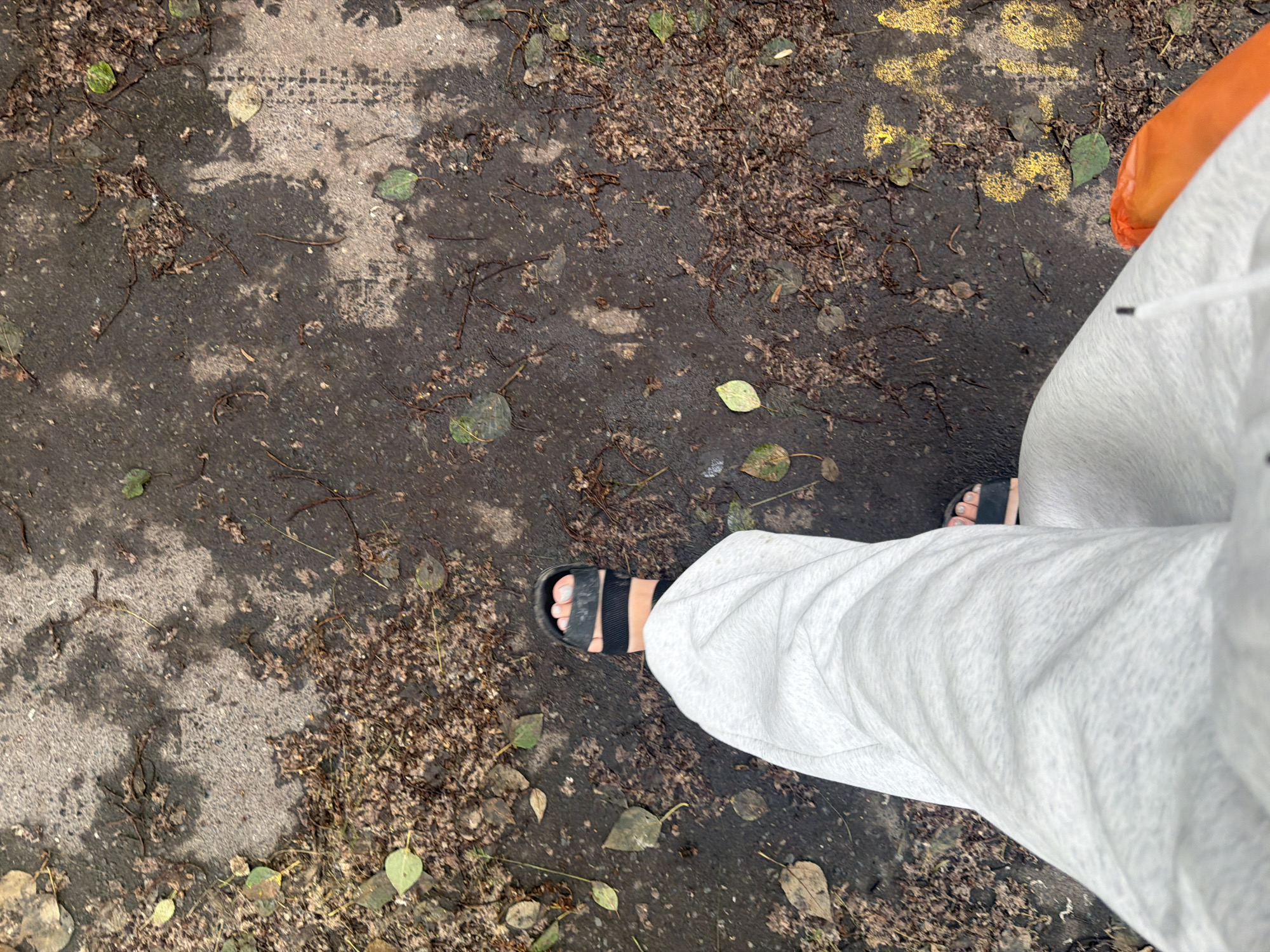 An overhead perspective shot captures a person's legs and feet walking on a wet, debris-strewn asphalt path. The person is wearing light gray sweatpants and black sandals. The path is speckled with fallen leaves and twigs, and there is a faint yellow marking on the right side of the image. The lighting suggests it is daytime, likely overcast or after rain, given the wet appearance of the asphalt.