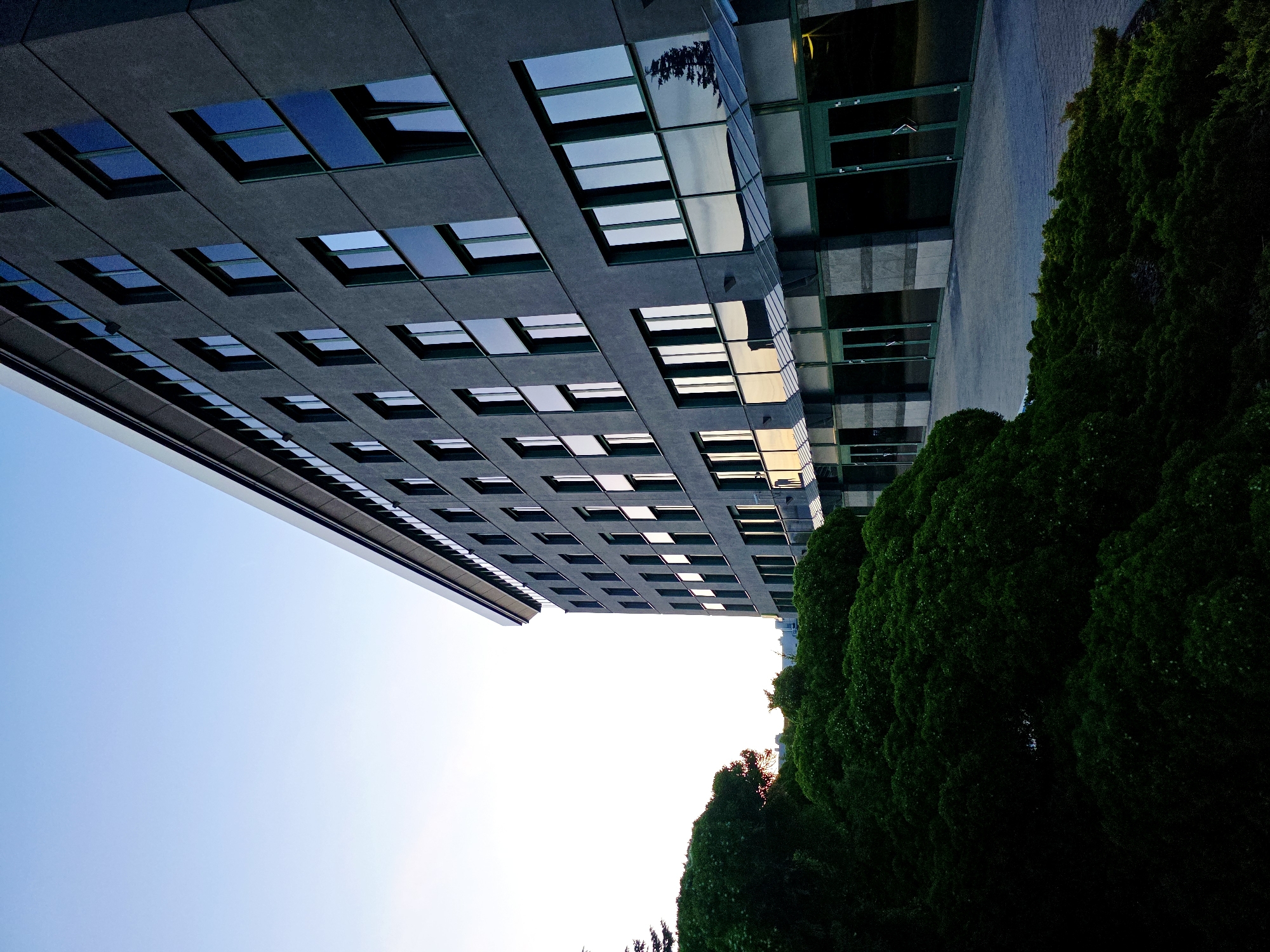 An exterior, eye-level shot captures a modern, dark gray office building situated in Warsaw, Poland, likely in a business district or a suburban office park. The building features a uniform facade punctuated by numerous rectangular windows, some reflecting a clear blue sky. The architecture is contemporary, with clean lines and a minimalist aesthetic. In the foreground, lush, dark green bushes form a dense, undulating landscape that partially obscures the lower levels of the building. The ground is paved with light gray concrete slabs arranged in a discernible pattern. The sky is a gradient of pale blue at the top, transitioning to a brighter, almost white hue near the horizon, suggesting either early morning or late evening light. No people are visible in the frame, and there are no discernible actions or interactions taking place. The scene is still and serene, focusing on the architectural composition and the interplay of light and shadow on the building and surrounding vegetation.