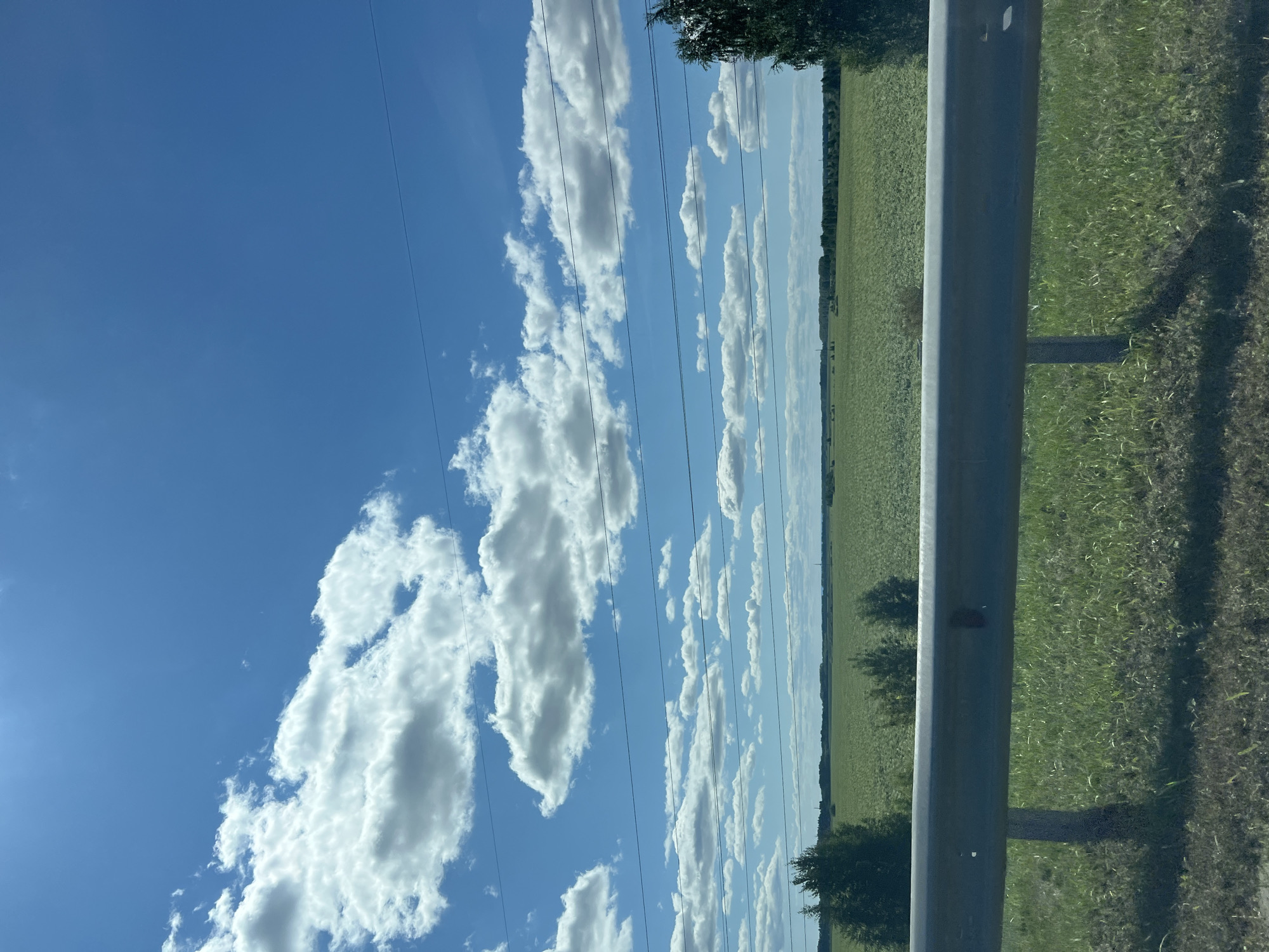 A vast, green field stretches towards the horizon under a bright blue sky filled with fluffy white clouds. A silver guardrail runs across the foreground, with green grass and some patches of darker soil beneath it. Several power lines are visible against the sky. In the distance, a line of trees marks the edge of the field, and faint structures can be seen on the horizon. The image appears to be taken from a moving vehicle, suggesting it depicts a roadside view near Ozerki, Russia, on a sunny day. No people are visible in the scene.