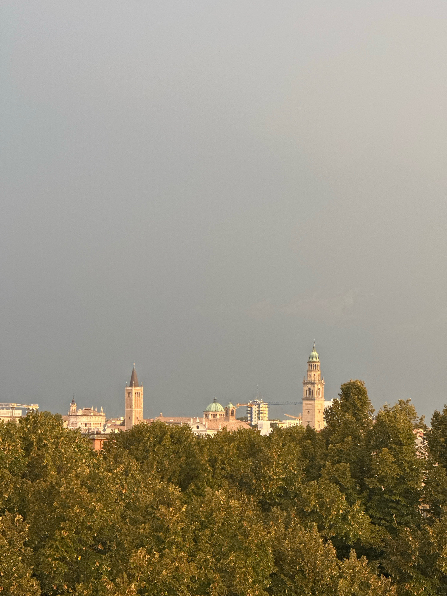 The image shows a view of the city of Parma, Italy, from a distance. In the foreground, there is a dense line of trees with green and yellow foliage. Behind the trees, a cityscape with several prominent buildings is visible against a cloudy, grey sky. Notable structures include a tall, slender bell tower with a pointed roof and arched windows, another taller tower with a green dome, and several other buildings with terracotta roofs and architectural details characteristic of Italian cities. The overall impression is of an urban landscape viewed from a natural vantage point, possibly during or before a storm due to the dark sky.