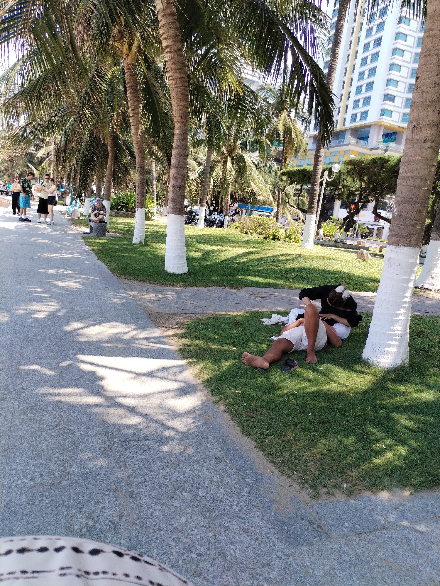 A full-shot photograph shows a man and woman lying on a grassy patch between a sidewalk and a row of palm trees painted white at the base, possibly in Nha Trang Ward, Vietnam.
The man is lying on his back, facing the camera, wearing white shorts and no shirt. His feet are bare, with a black sandal next to his left foot. The woman is lying on her side, facing away from the camera, wearing a black shirt and white pants. Her head is resting on the man's chest.
The sidewalk is to the left of the grassy patch, and a row of palm trees is behind the couple. Other people are walking on the sidewalk in the background, and there are buildings visible in the distance.
