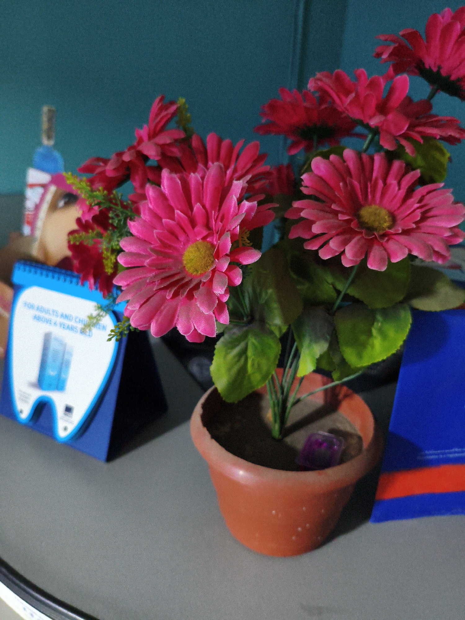 The image shows a close-up of a potted artificial pink flower arrangement with green leaves, sitting on a grey surface. To the left of the flowers, a blue stand with a white cutout in the shape of a tooth is visible. The tooth-shaped cutout has text that reads "FOR ADULTS AND CHILDREN ABOVE 6 YEARS OLD". Behind the flowers and stand, a blurred image of a person's face with a blue and white hat or headpiece is visible against a teal-colored background. The overall scene appears to be an indoor setting, possibly a desk or shelf, with no indication of Amman, Jordan.