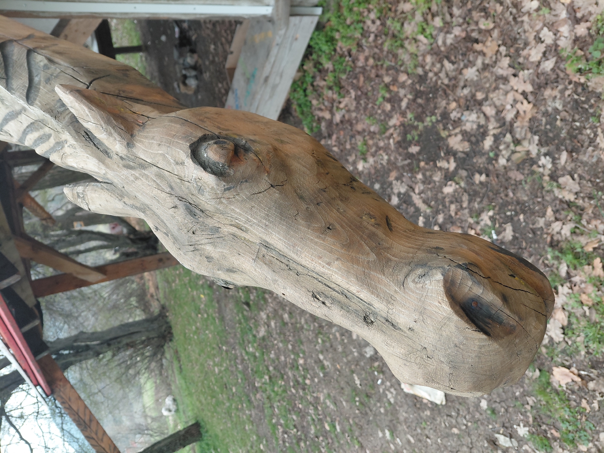 The image shows a carved wooden horse head resting on a structure. The carving is detailed, showing the eye, snout, and mane of the horse. The wood is light brown with visible cracks and knots. The structure beneath the carving appears to be a wooden frame, potentially part of a gazebo or playground structure. The background consists of leaf-covered ground, trees, and a glimpse of a field. The presence of the carved wooden horse head within an outdoor setting points towards a park or recreational area within the town of Kuklen, Bulgaria. No people are visible in the image.