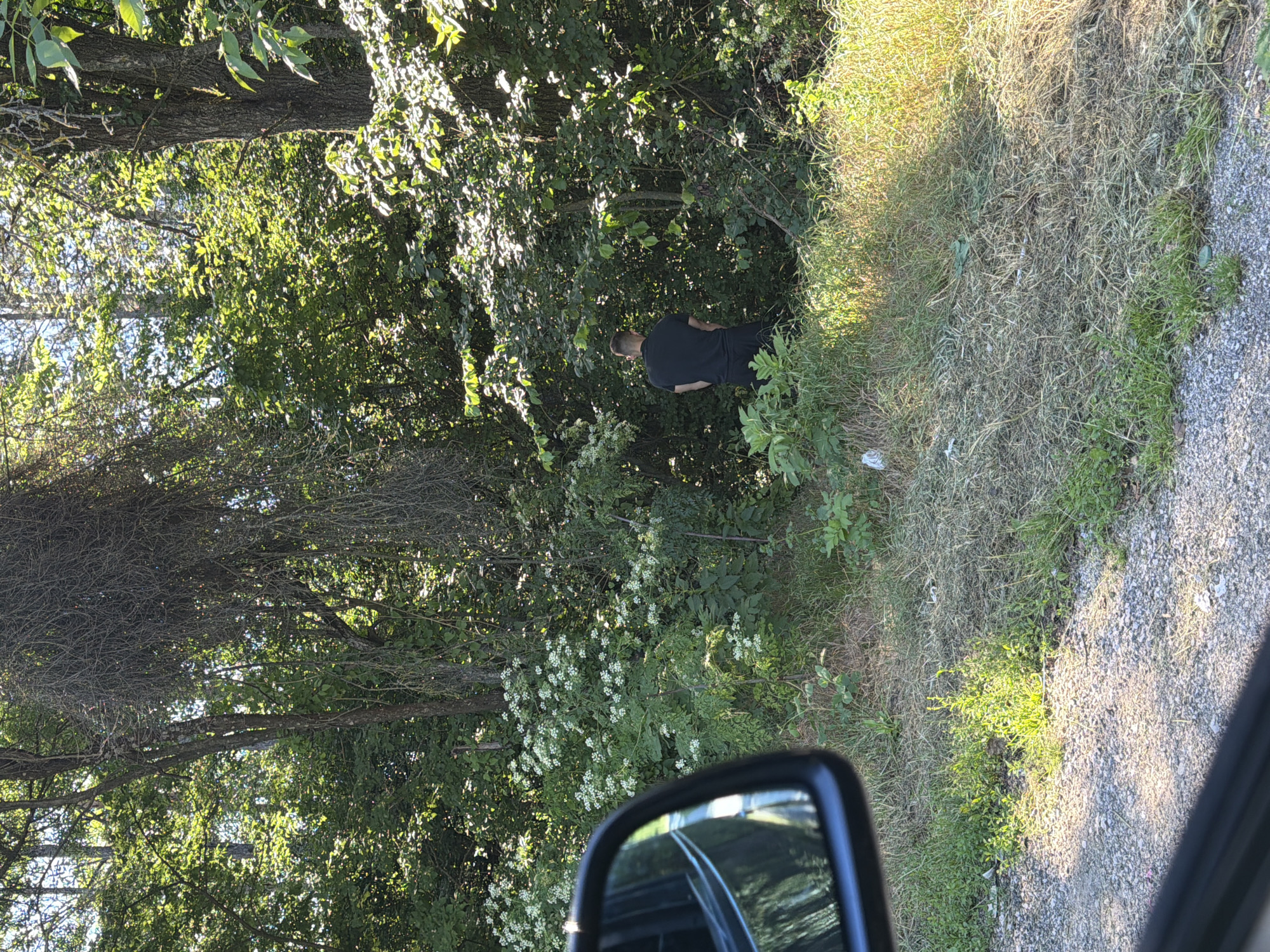 The image shows a man in a black t-shirt and black shorts urinating in a wooded area. He is standing with his back to the camera, facing the dense foliage. The environment is a natural setting with trees, bushes, and dry grass. There is also a car's side mirror visible in the foreground, reflecting the surroundings. The location is identified as the city of Garnia, Bulgaria.