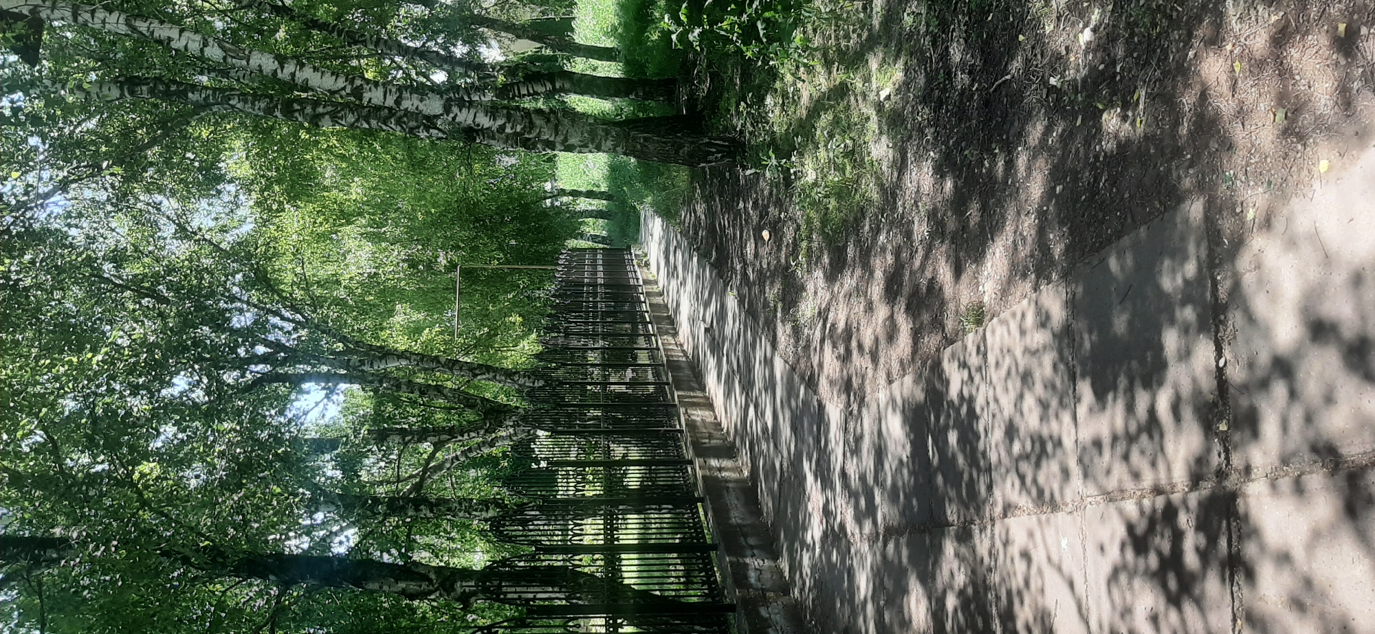 The image depicts a sun-dappled pathway in Yessentukskaya, Russia, lined with a black wrought-iron fence on the left and lush green trees on the right. The pathway, composed of concrete slabs, shows patches of sunlight and shadow from the overhead foliage. Beyond the fence, more trees and vegetation are visible. The sky is partially obscured by the dense green canopy. The scene appears to be a tranquil outdoor setting, possibly a park or a quiet street, bathed in daylight.