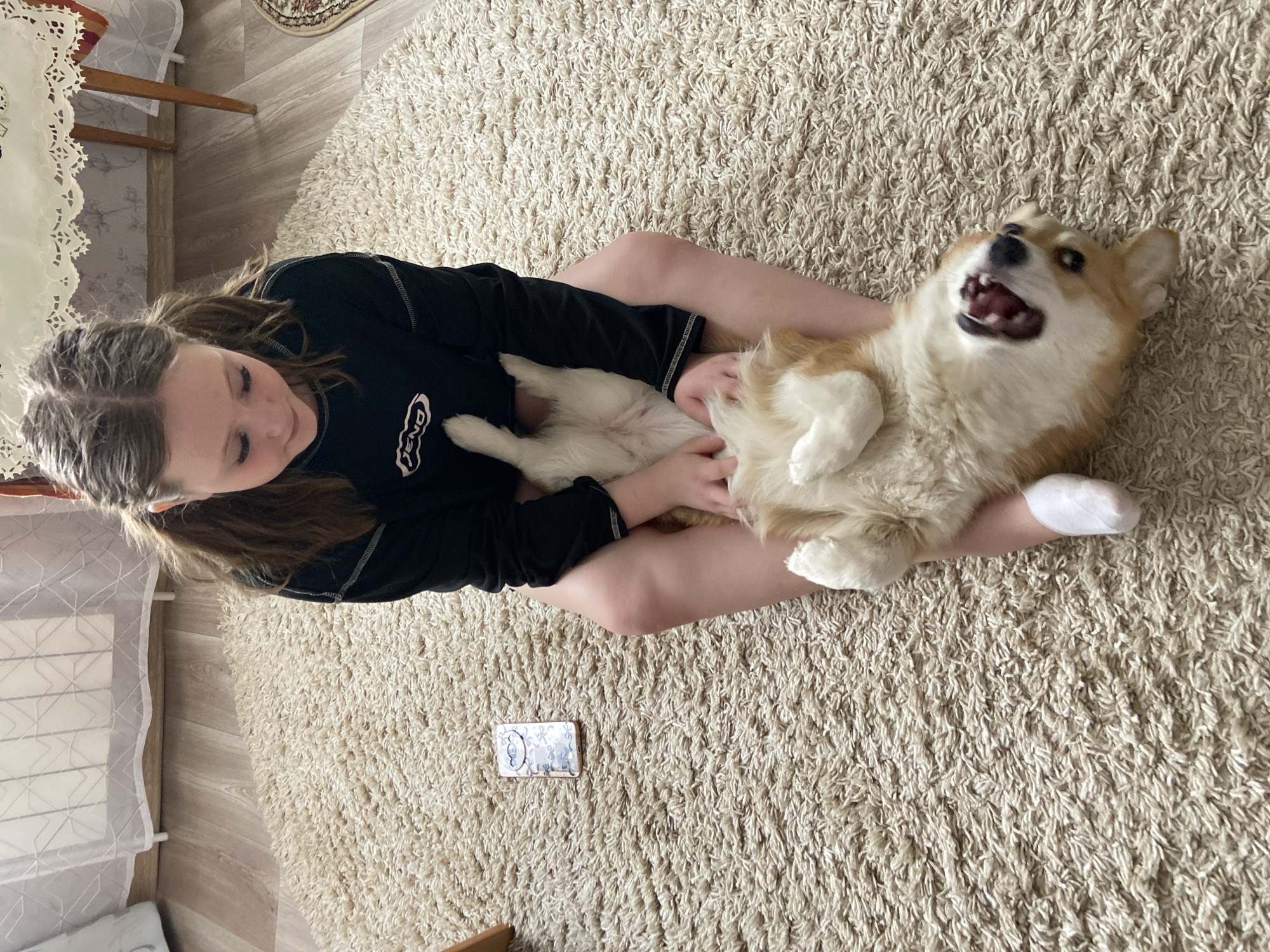 A top-down view captures a girl seated on a beige, shaggy carpet, cradling a corgi on its back. The girl, dressed in a black, long-sleeved shirt, is looking down at the dog. The corgi lies on its back with its mouth open. Next to the girl's leg is a cell phone. The scene suggests an interior setting. Based on geolocation, the location is likely in Chaikovsky, Russia.