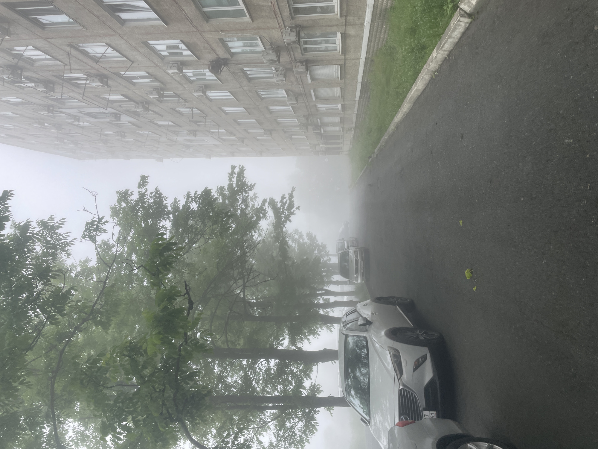 The image captures a foggy street scene in Vladivostok, Russia, with a multi-story apartment building on the right and trees lining the left side of the road. A white SUV is parked prominently in the foreground on the left, with its front end facing towards the right. Further down the street, several other vehicles are visible, partially obscured by the fog. The apartment building is a typical Soviet-era structure with numerous windows and air conditioning units mounted on its facade. The ground is paved with asphalt, and a grassy area with a concrete curb runs alongside the building. The dense fog creates a muted, atmospheric effect, limiting visibility and softening the outlines of objects. No people are visible in the image. The overall impression is one of a quiet, overcast morning in a residential urban area.