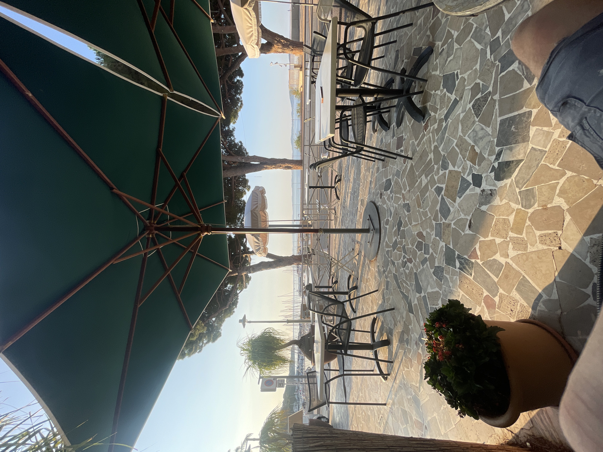 The image shows an outdoor seating area with tables and chairs under large green umbrellas. The patio is paved with irregular stone tiles. In the background, there are trees, a harbor with boats, and the sea. A potted plant is in the foreground. The scene appears to be a cafe or restaurant located in Carqueiranne, France, likely overlooking a marina or waterfront. The lighting suggests it is either early morning or late afternoon.
