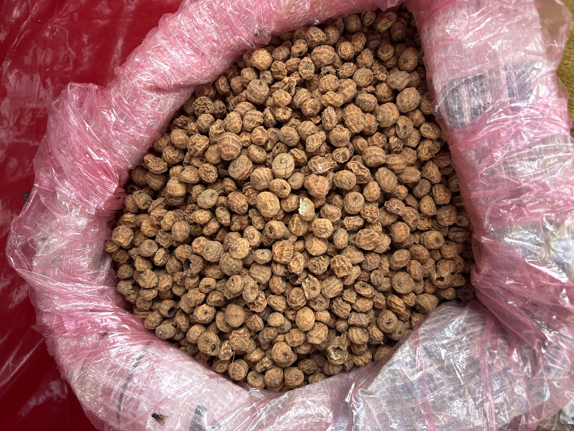 A close-up overhead shot shows a large pile of tiger nuts contained within a crinkled pink plastic bag. The tiger nuts are small, oval-shaped, and have a rough, textured brown exterior. They fill the bag, with some spilling over the sides. The pink plastic bag is slightly transparent, and the red background of the container is visible through it. The image appears to be taken in a market setting, possibly in Lafia, Nigeria, given the context. There is a small fly on the left side of the pink plastic bag.