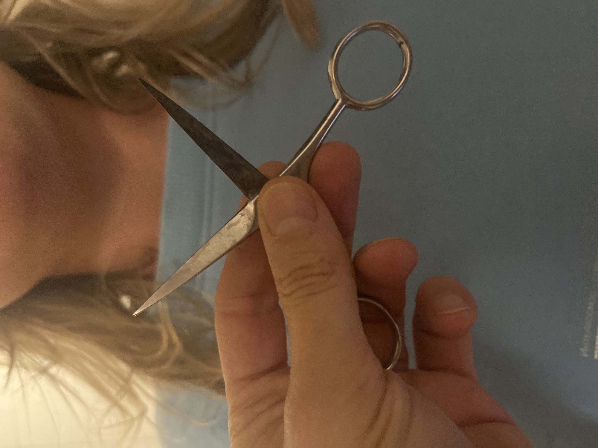 A person is holding a pair of small, metallic scissors near their blonde hair. The scissors are open, with one blade pointed towards the hair. The person's hand is visible holding the scissors. A blue background is partially visible behind the hand and hair. The image does not contain information regarding the location of the city of Budva, Montenegro.
