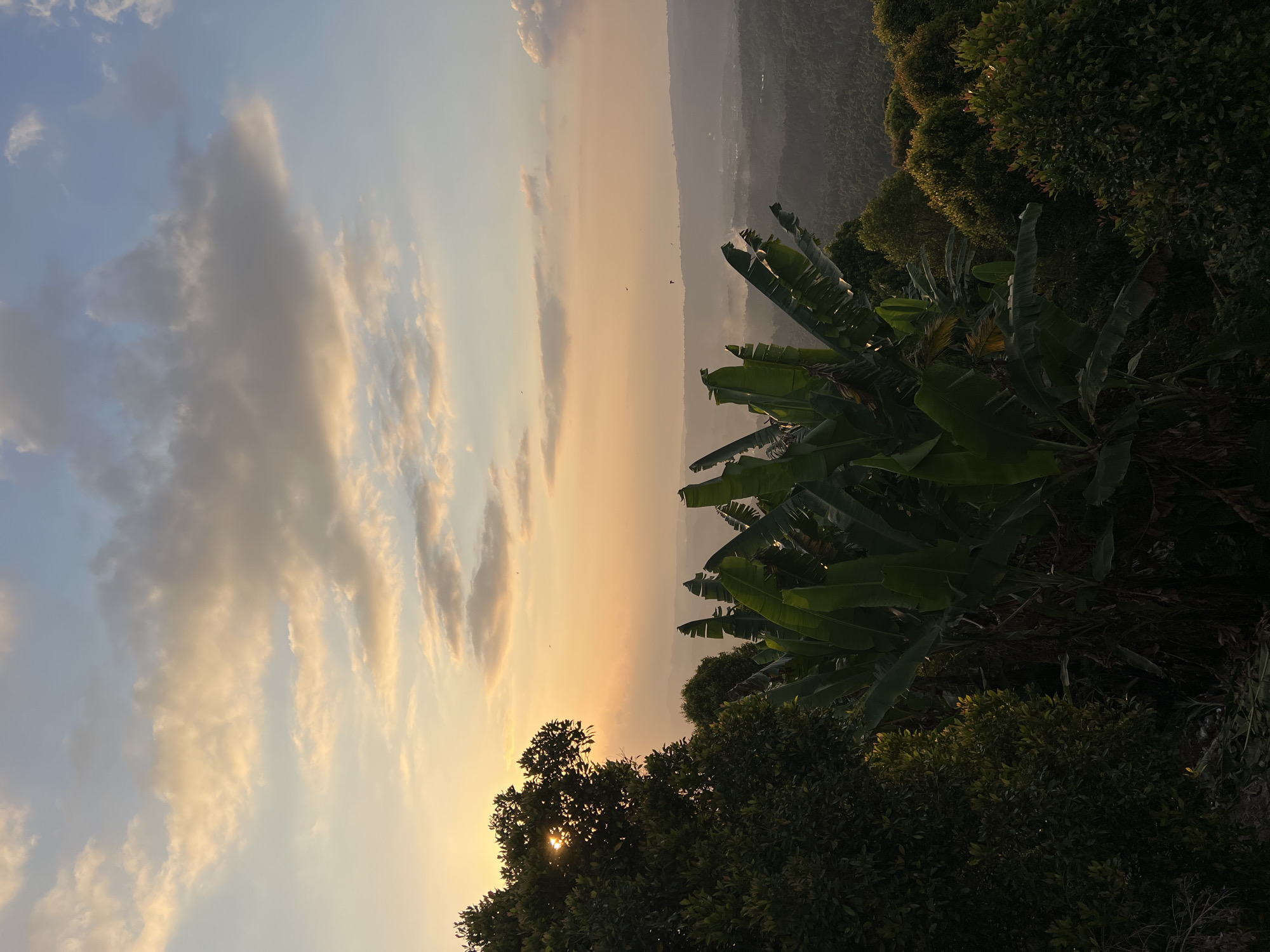 The image captures a sunset view from a hilltop in Busungbiu, Bali, Indonesia. The sky is painted with hues of orange and yellow, with scattered clouds. In the foreground, lush green trees and banana plants dominate the scene, with the sun's rays peeking through the leaves of a large tree on the left. The background reveals a rolling landscape of hills and vegetation, shrouded in a gentle mist. The overall impression is one of natural beauty and tranquility during twilight.