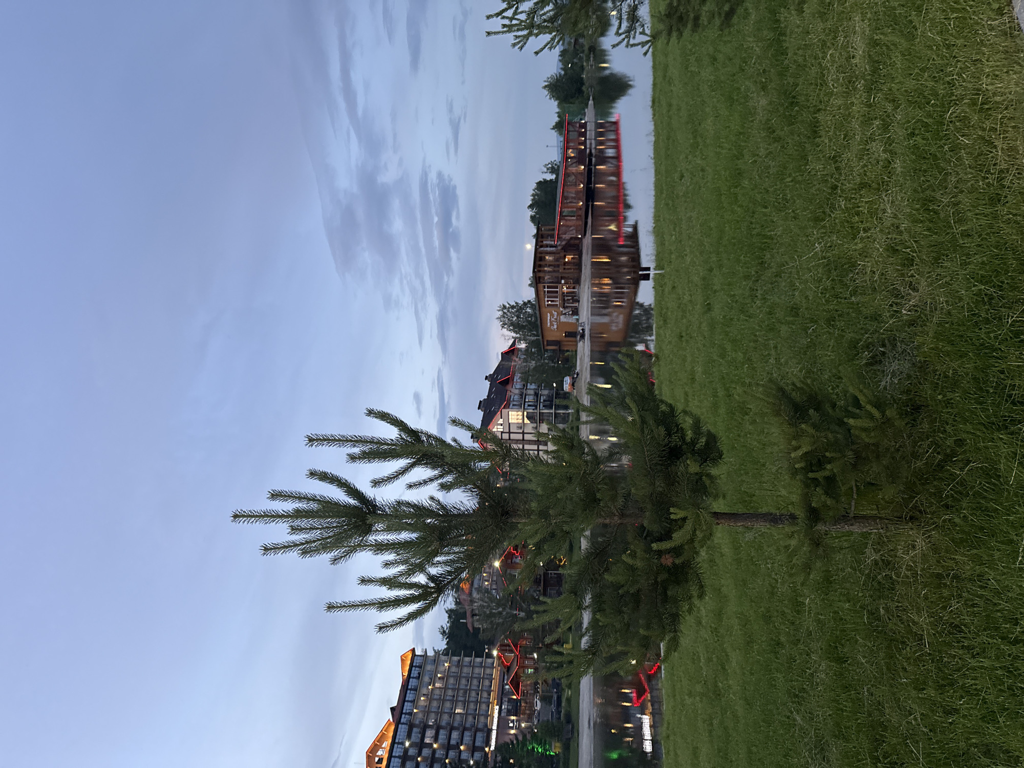In Syrostan, Russia, a twilight scene unfolds by a calm body of water. In the foreground, a young pine tree stands on a manicured lawn. Beyond the water, a row of modern buildings with red-trimmed roofs and illuminated windows are visible, reflecting in the water. The sky above is a muted blend of blue and grey clouds. The overall atmosphere is serene and tranquil.
