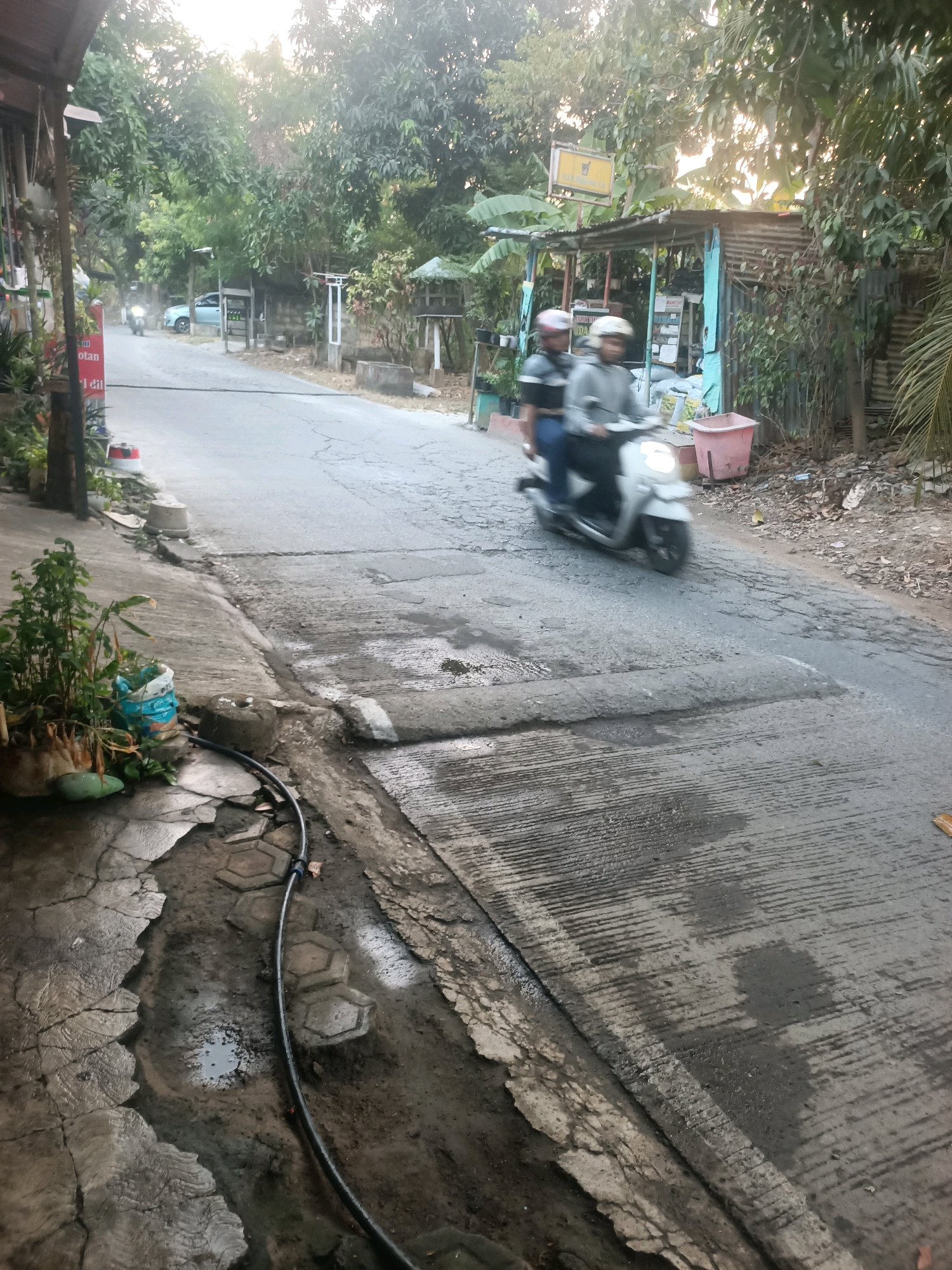 The image depicts a street scene in Telagaasih, Indonesia, characterized by a narrow, asphalt road with visible cracks and water pooling in some areas, particularly on the left side adjacent to a concrete sidewalk. Lush green trees line both sides of the road, creating a somewhat shaded environment. In the foreground, on the left, there is a concrete gutter with a black hose lying in it, and several potted plants.
Further down the road, two individuals are riding a white scooter, both wearing helmets. The scooter is in motion, creating a slight blur. To the right of the road, there's a small roadside stall constructed with corrugated metal roofing and wooden supports, and a pink plastic bin is visible near it. In the background, a light-colored car is parked on the side of the road. The overall impression is of a typical, somewhat unkempt, residential street in a tropical climate. The time of day appears to be late afternoon or early morning, given the soft, diffused light.