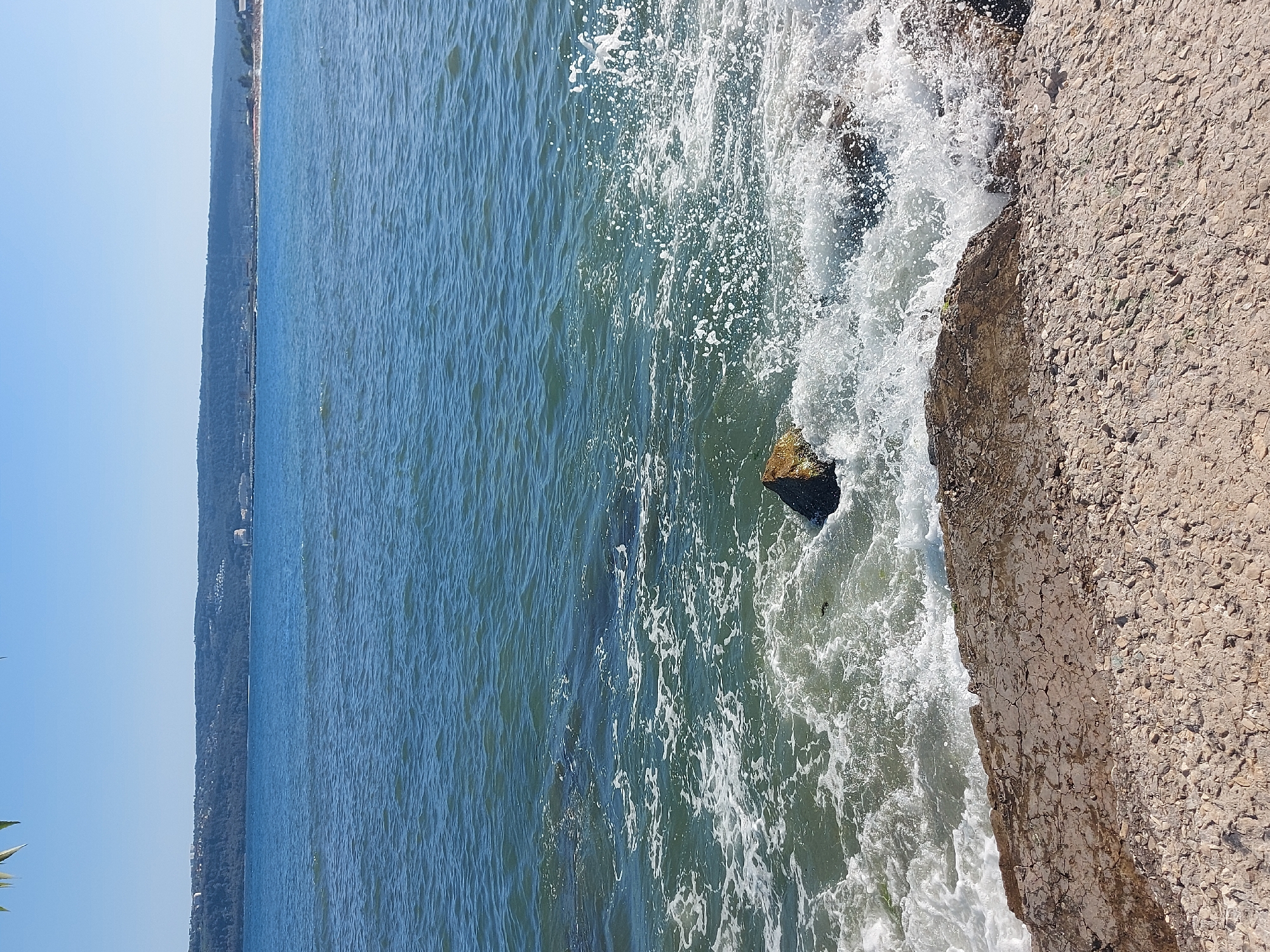 The image captures a coastal scene with a body of water in the foreground and a distant coastline. The water is a deep blue, with moderate waves creating white foam along the shore. Several rocks are visible in the water and along the edge of the foreground. The foreground itself is composed of rough, gravelly terrain, with some larger, flat rocks.
In the distance, a hazy, green-covered hillside stretches across the horizon. Buildings, some appearing to be residential and others industrial, are scattered along the top of the hill. The sky above is a clear, bright blue.
This scene is consistent with the coastline of Varna, Bulgaria, known for its beaches and the panoramic views of the Black Sea from its elevated areas. The presence of both natural elements like the sea and rocks, and man-made structures on the distant hills, is characteristic of Varna's urban and natural landscape. No people are visible in the image.