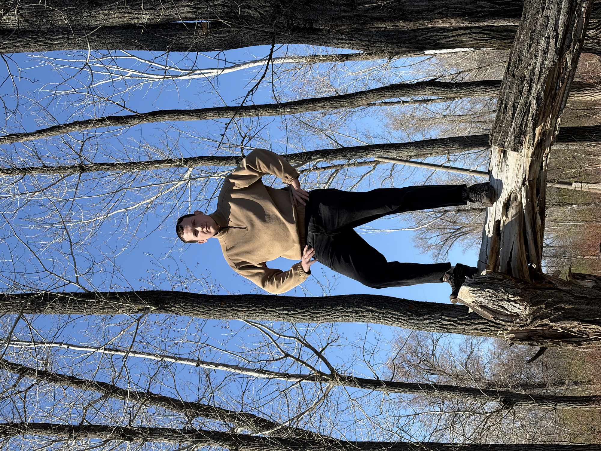 A man is posing atop a fallen tree trunk. He is wearing black pants, black shoes, and a tan jacket. His hands are on his hips. The tree trunk is surrounded by other trees with bare branches. The sky is blue. This image may have been taken in the city of Chaykovsky, Russia.