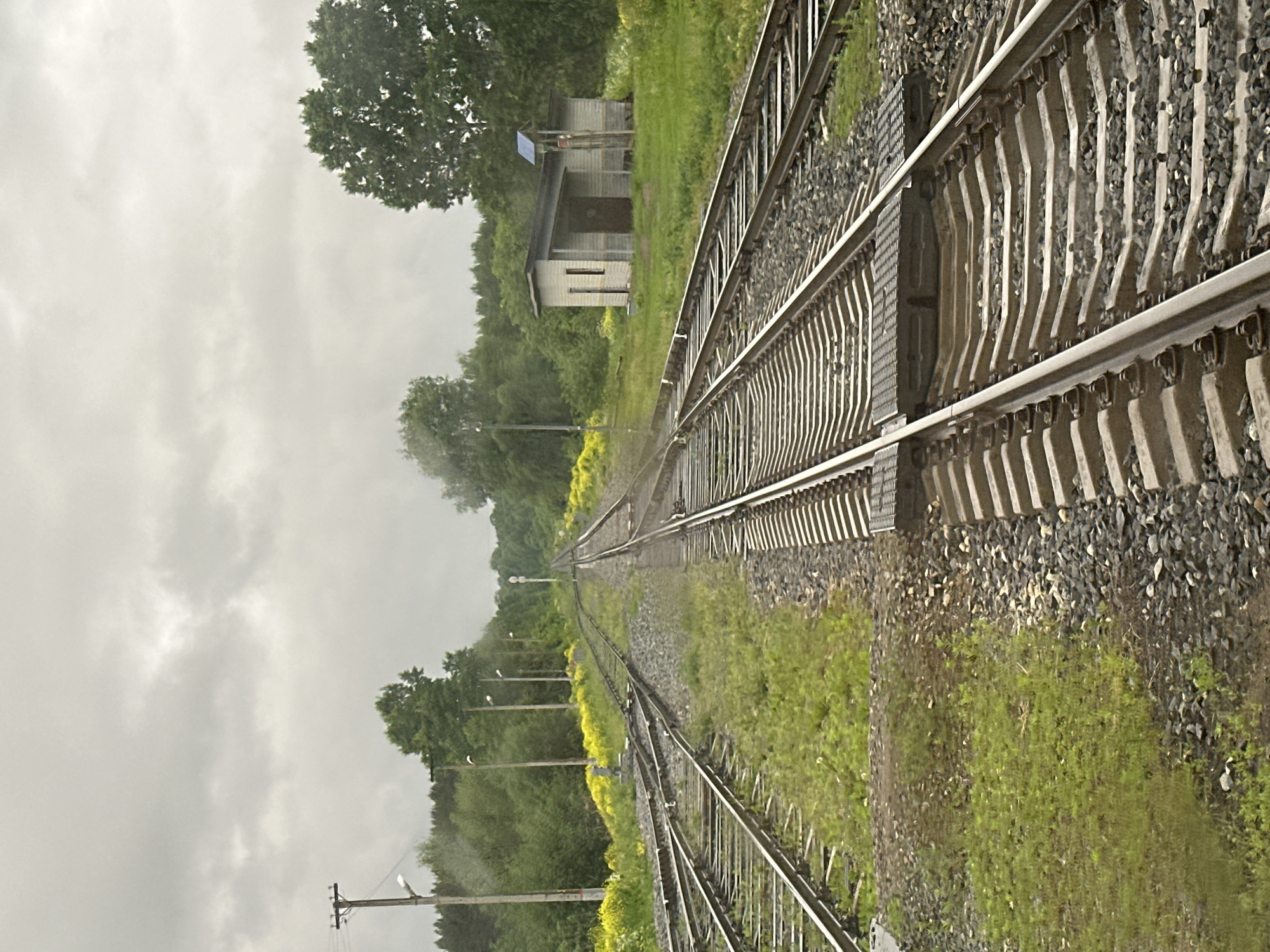 This image depicts a railway junction or siding area in Кварса, Russia, under an overcast sky. The scene is dominated by multiple sets of railway tracks extending into the distance, flanked by dense green vegetation and trees.
In the foreground and midground, several parallel and diverging tracks are visible, laid on a bed of dark grey gravel ballast with concrete sleepers. On the left side, two tracks converge or split, showing a track switch mechanism. Along the left edge of the tracks, a vibrant strip of yellow flowering plants is prominent. Several utility poles with wires and light fixtures extend along the left side of the tracks, receding into the background.
On the right side of the tracks, a small, light-colored wooden building with a dark sloped roof stands on a grassy patch. It features a visible window and a door. Adjacent to this building is a smaller structure with a distinctive blue-colored canopy or roof section. Closer to the foreground on the rightmost track, a dark grey, rectangular panel-like structure is integrated between the rails.
In the mid-distance, a white, cylindrical railway marker is visible alongside the main track, which continues straight towards the horizon, disappearing into the dense green forest that forms the background. The sky is uniformly grey and cloudy, indicating overcast weather conditions. No individuals or specific actions are depicted in the scene.