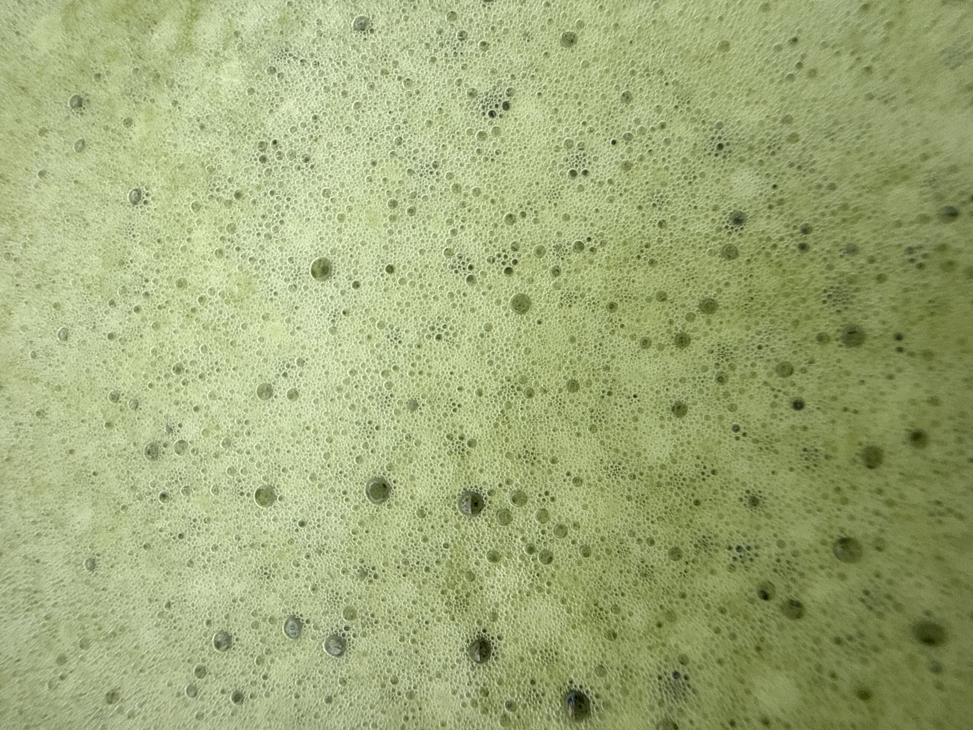 The image presents a highly textured, abstract close-up of a frothy, light green surface. The entire frame is filled with countless bubbles of various sizes, creating a dense, organic pattern.
The dominant color is a fresh, bright green, with subtle variations in tone across the surface. The foam is composed of an intricate network of tiny, tightly packed bubbles that form the base layer. Scattered among these are numerous larger, more distinct spherical bubbles, ranging in size from a few millimeters to about a centimeter in diameter.
Many of the larger bubbles feature well-defined, rounded edges, and some display translucent or slightly darker centers, suggesting depth or the thinness of the bubble wall. A few of the most prominent bubbles have distinct dark grey or nearly black circular centers, possibly indicating collapsed bubbles or particulate matter from the underlying liquid. The texture is consistent throughout, suggesting a homogeneous foamy substance.
There are no discernible people, specific objects (beyond the foam itself), or visible text in the image. The lighting appears even, illuminating the surface and highlighting the spherical forms and reflections on the bubbles. The scene provides a detailed, top-down perspective of this effervescent, green material, characteristic of a frothed beverage such as matcha, a green smoothie, or freshly juiced greens. No specific time of day, weather conditions, or location cues are visible within the image content, though the provided context is Bat Yam, Israel.