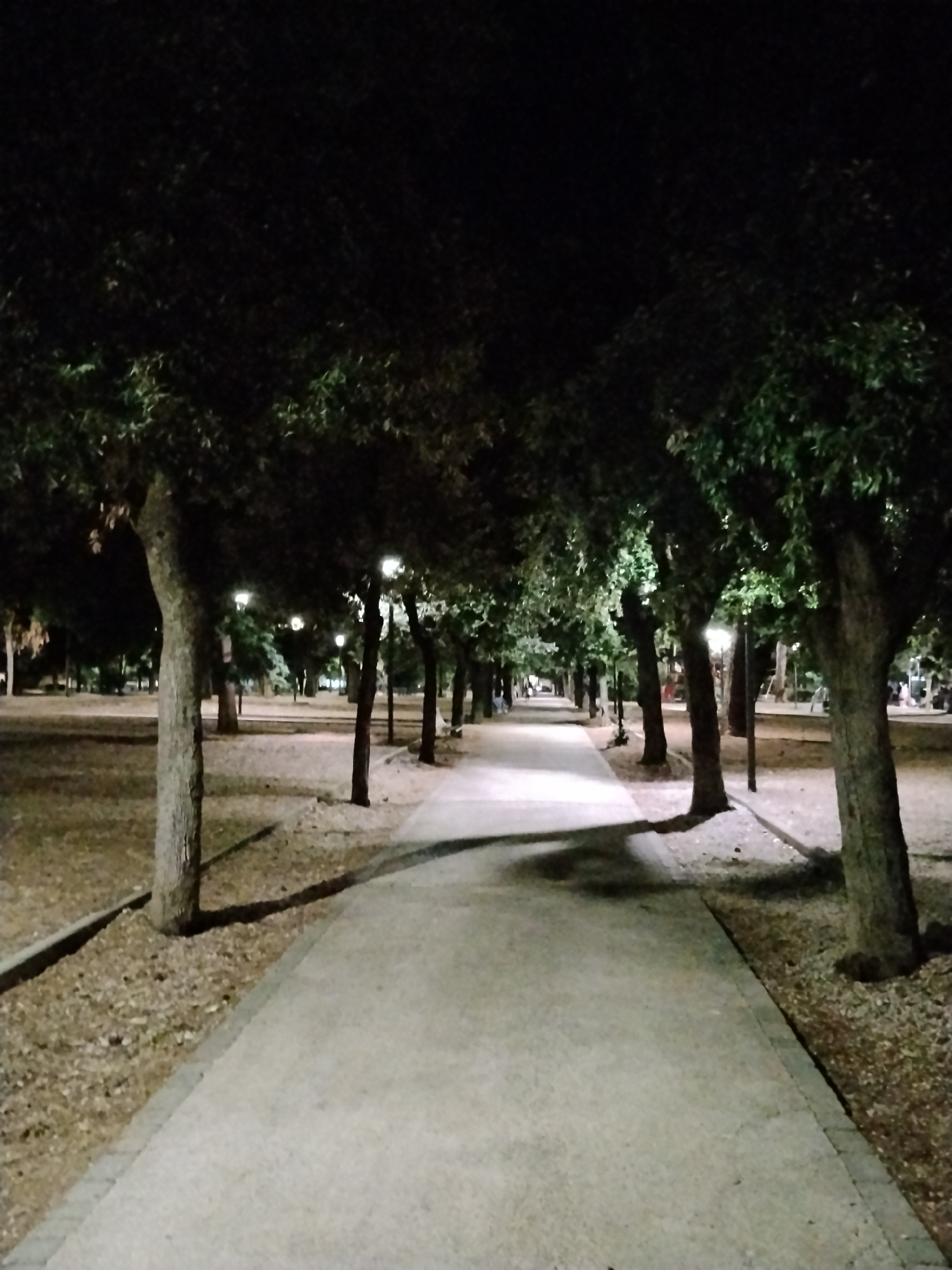 A nighttime scene depicts a paved pathway lined with trees in a park setting. The pathway is illuminated by several lampposts, casting light and shadows on the ground. The trees have dark foliage and visible trunks, with some leaves scattered on the ground. The overall atmosphere is tranquil and dimly lit. This scene is located in Bitonto, Italy.