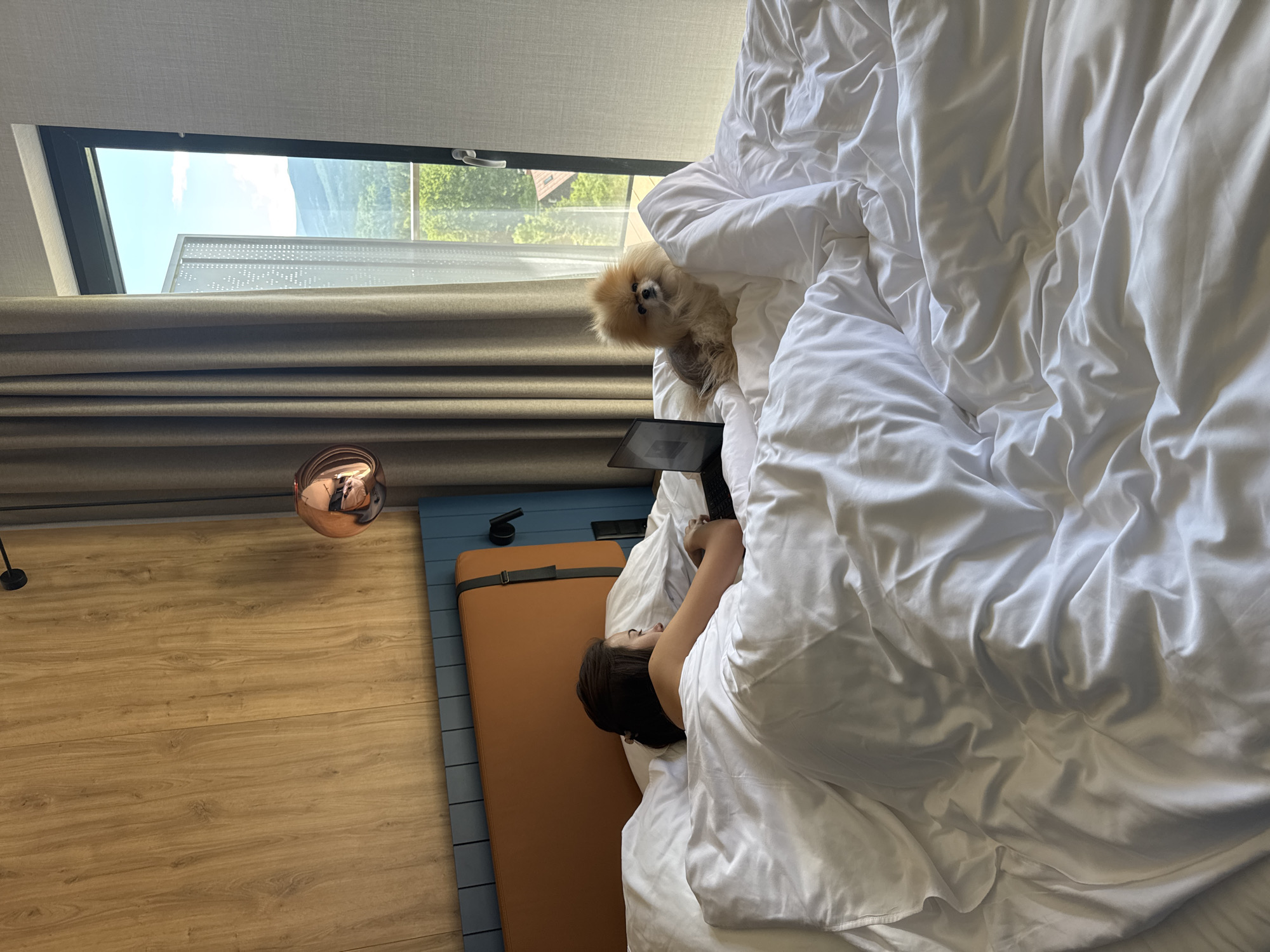 The image presents an overhead view of a cozy bedroom scene, featuring a person and a small dog in bed. The main subject, a person with dark hair, is seen from the back, lying on their side under a voluminous white duvet. They appear to be using a black laptop or tablet positioned on the bed in front of them.
Resting comfortably near the person's head, partially covered by the bedding, is a small, fluffy, light-brown dog, possibly a Pomeranian, looking towards the camera with an alert expression.
To the left of the bed, a wide window allows ample natural light into the room. Through the window, a bright blue sky, lush green trees or foliage, and what appear to be distant mountains or hills are visible, indicating a scenic outdoor environment. Light brown pleated curtains are drawn partially across the window.
The room features a warm-toned wooden floor on the left side of the frame. Adjacent to the bed, a blue platform or base supports a rectangular brown cushion or mat. A round, reflective, copper-colored object, possibly a lamp or decorative fixture, hangs near the floor. The scene suggests a peaceful daytime setting, conveying comfort and companionship. No visible text is present.