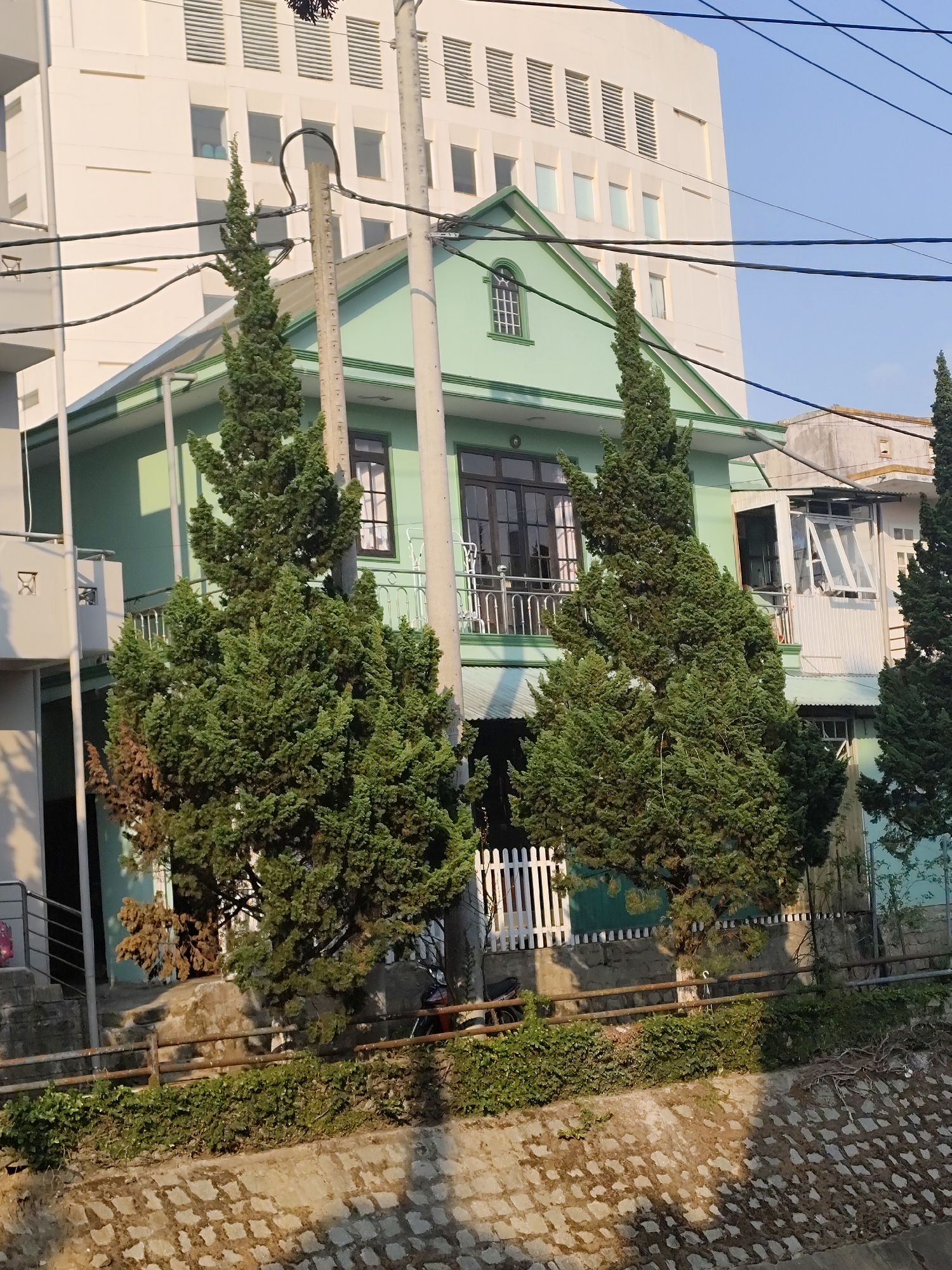 This outdoor daytime image depicts an urban residential scene in Da Lat, Vietnam. The central feature is a two-story residential building painted light green, featuring a pitched roof, a front balcony with a silver-toned metal railing, and dark-framed windows and a glass door. An arched window with white grilles is visible on the upper gable. A pale blue awning is partially visible beneath the balcony. Several tall, conical evergreen trees, one exhibiting areas of browned foliage, partially obscure the green house.
In the background, a taller, multi-story white building with prominent horizontal architectural louvers and numerous rectangular windows stands against a clear blue sky. To the left of the green house, a portion of another white building with a balcony is visible, and to the right, a lighter-colored building with an open window.
The foreground reveals a stone retaining wall constructed from interlocking concrete blocks, partially covered by green vines. Above this wall, a rusty, multi-bar metal fence extends horizontally, backed by dense green foliage. A white picket fence is discernible near the base of the green house on the left, where a dark-colored scooter or motorcycle is partially parked.
Multiple black utility wires crisscross the upper portion of the frame, supported by a grey utility pole positioned centrally in front of the green house. The scene is illuminated by bright natural daylight, casting distinct shadows. No individuals are present in the image.