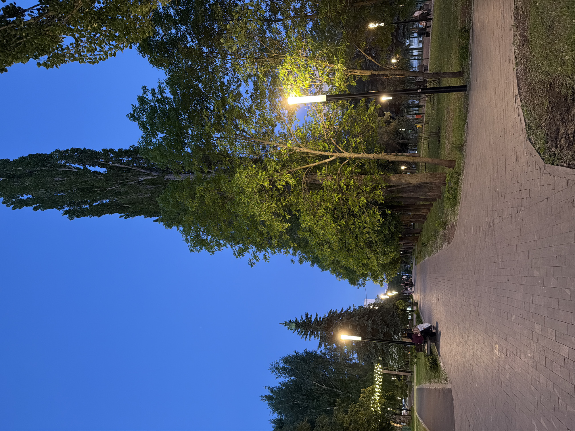 The image shows a brick pathway in a park setting at dusk or night. Trees line both sides of the pathway, and lampposts illuminate the scene. Some people are sitting on benches along the pathway. The sky is a deep blue. The location is Unknown, Unknown.