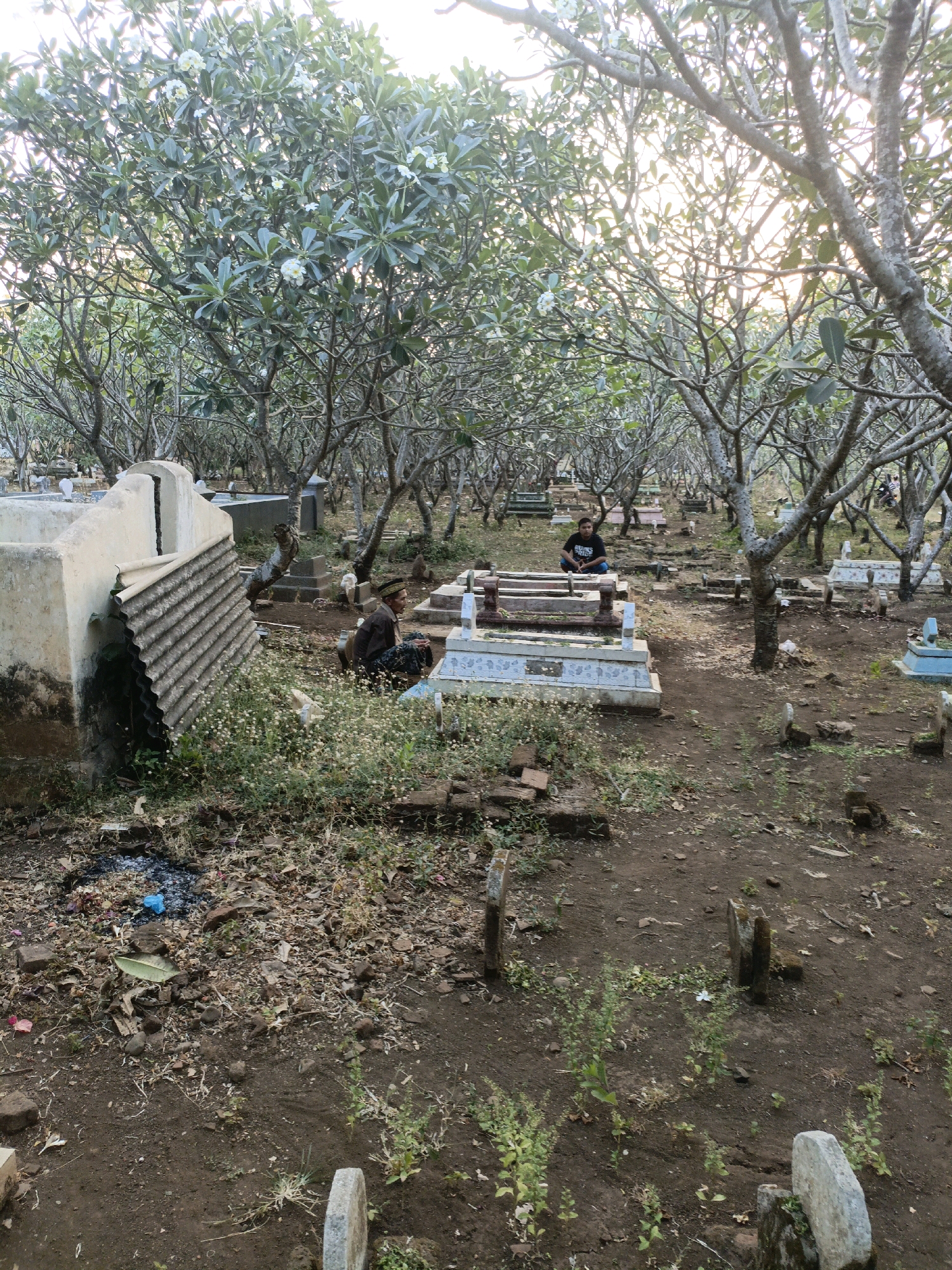 The image depicts a cemetery in Condong, Indonesia, characterized by rows of gravestones partially shaded by trees with white flowers. In the foreground, a weathered concrete tomb is visible on the left, leaning against a corrugated metal sheet. A person is seated on the ground next to a gravestone in the middle ground, to the right of the concrete tomb. Further in the background, another individual is crouched beside a row of graves. The ground is a mixture of soil, dry leaves, and sparse vegetation. Several gravestones are scattered throughout the scene, with varying states of repair. The overall atmosphere is serene, with the sunlight filtering through the trees.